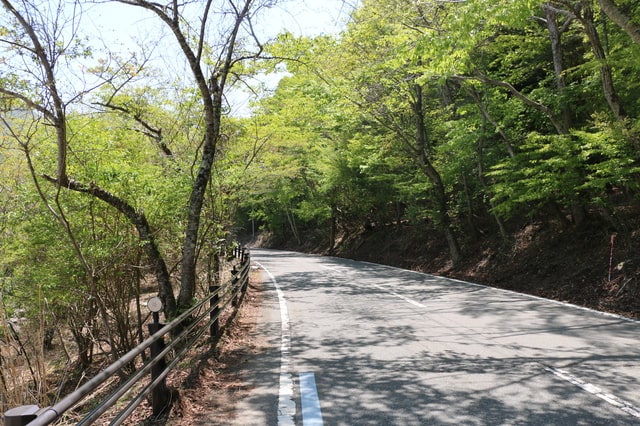 森の道