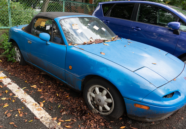 不法投棄された車