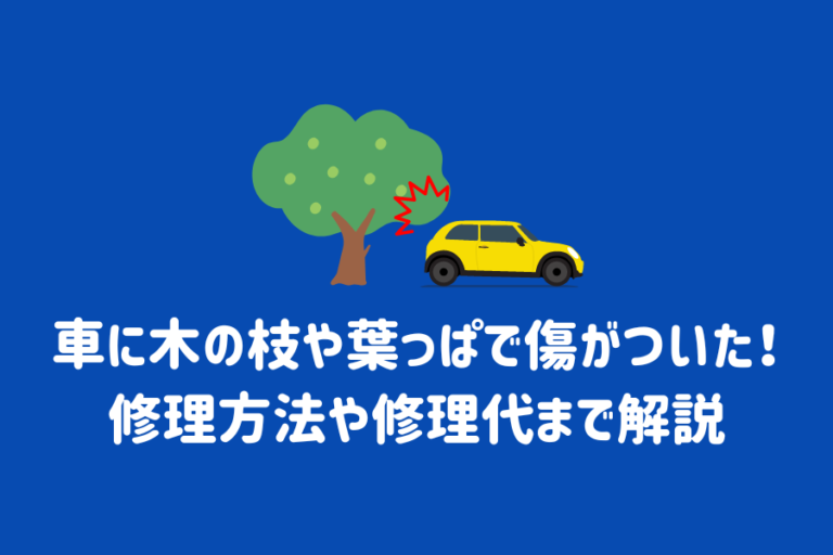 車に木の枝や葉っぱで傷がついた！修理方法や修理代まで解説 ENEOSウイング サービスマガジン