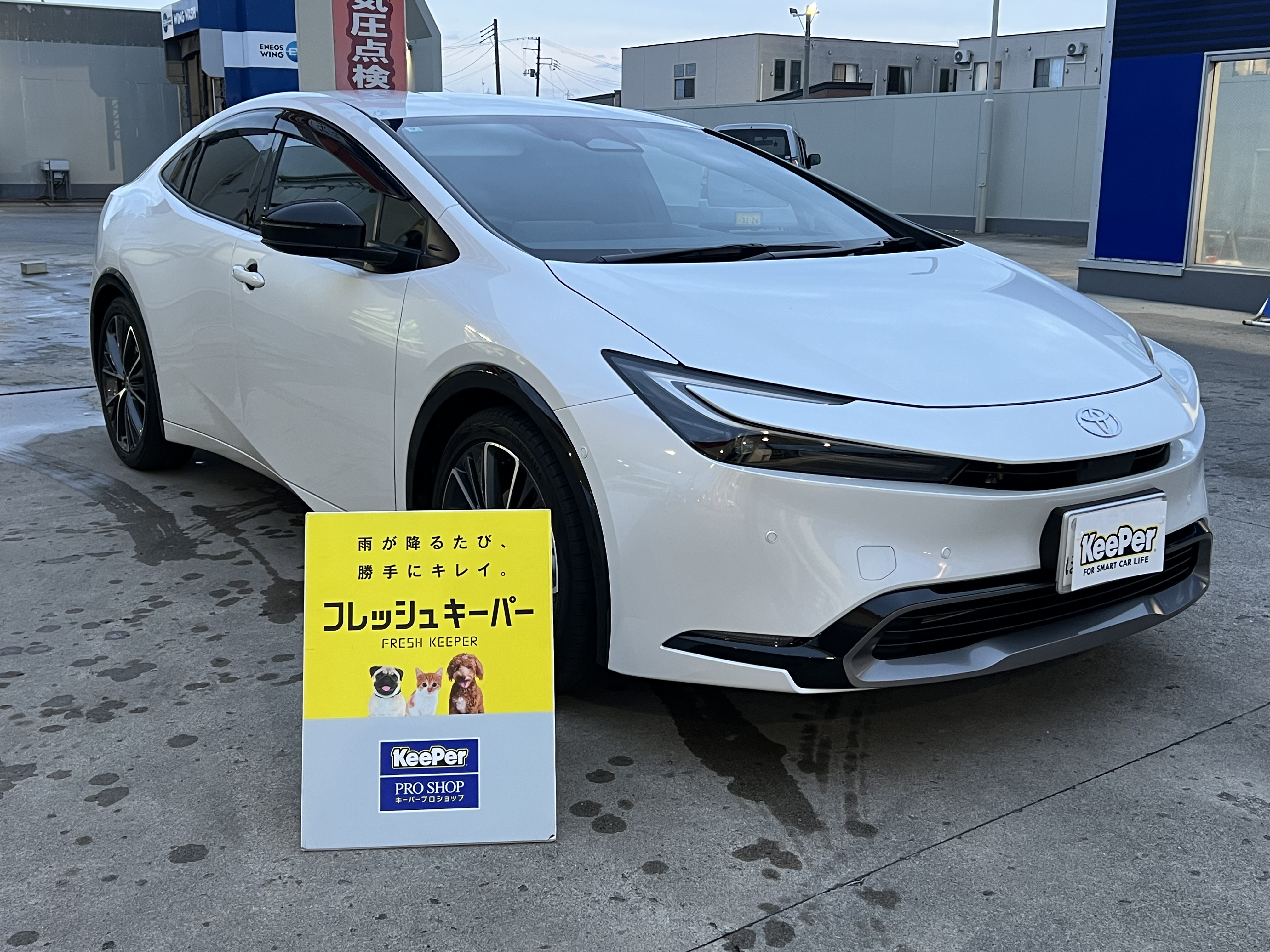 八戸TSで秋のプリウスコーティング体験とお得情報🚗✨