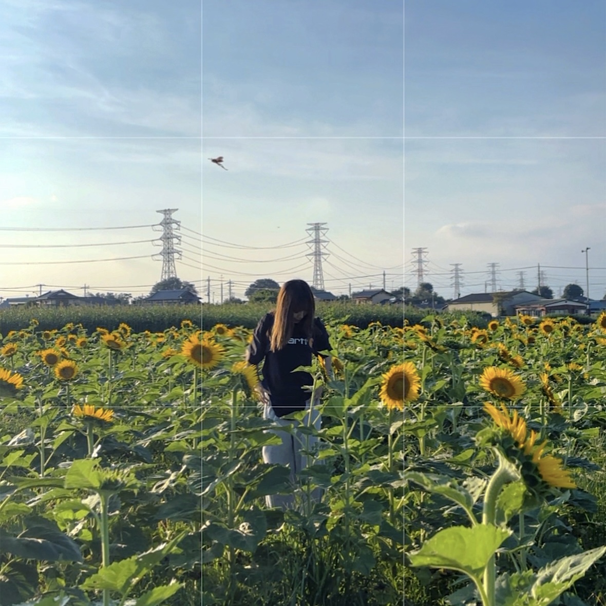 夏のドライブ前にチェックしたい車の点検ポイント🌻安全運転のコツ