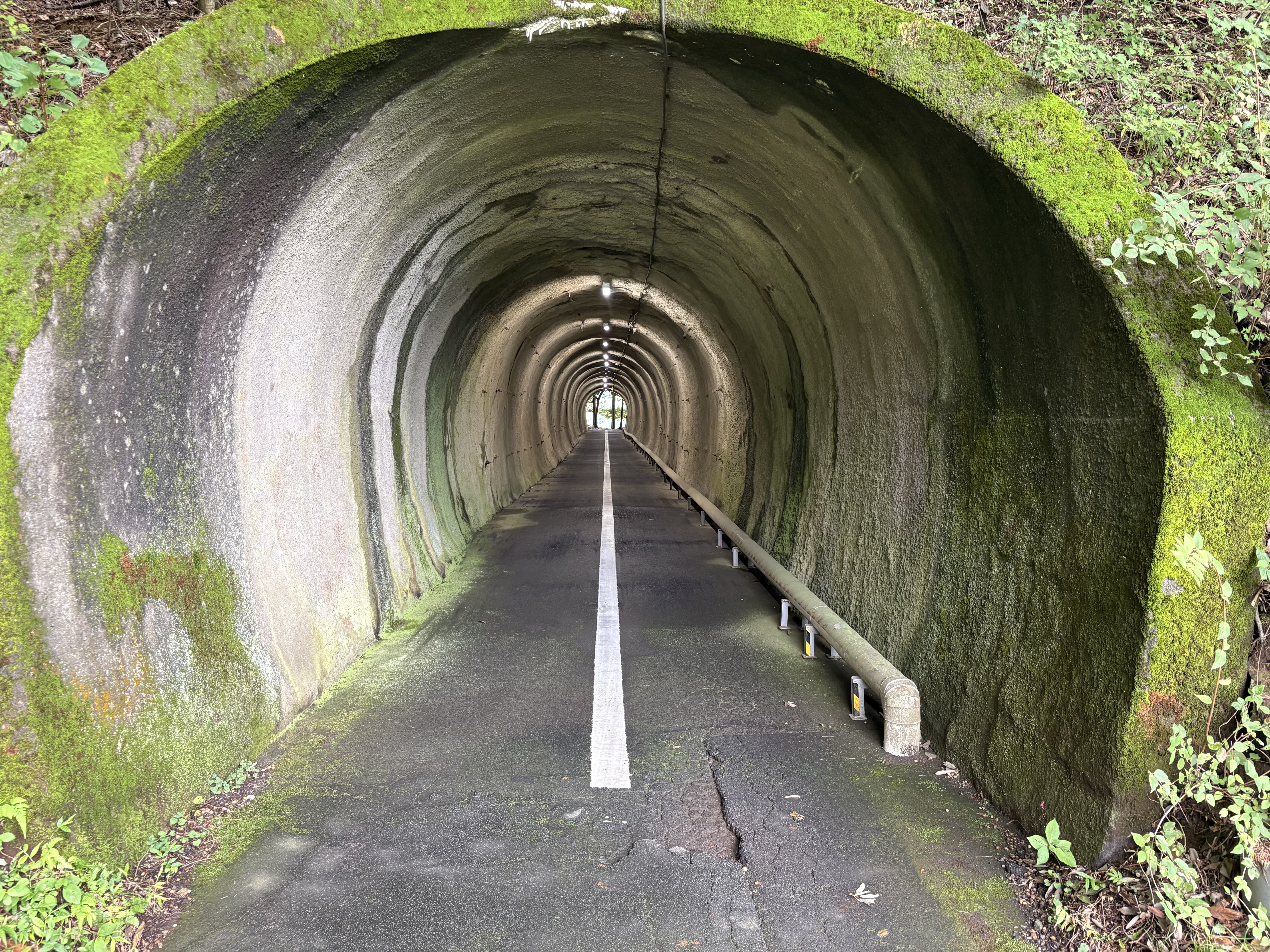 トンネルを抜けると…
