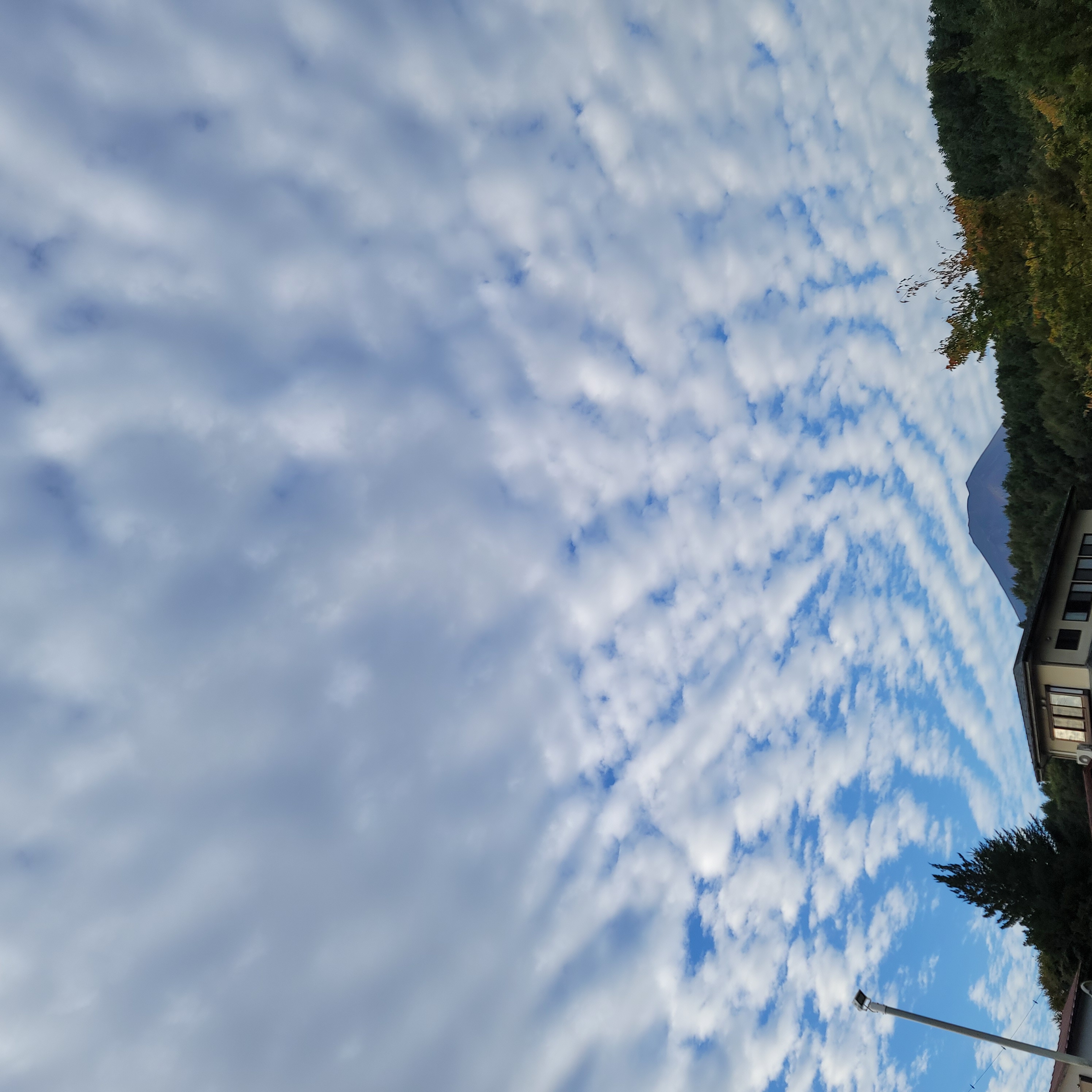 秋の愛車メンテにおすすめエコダイヤモンドキーパーと洗車特価情報🚗✨