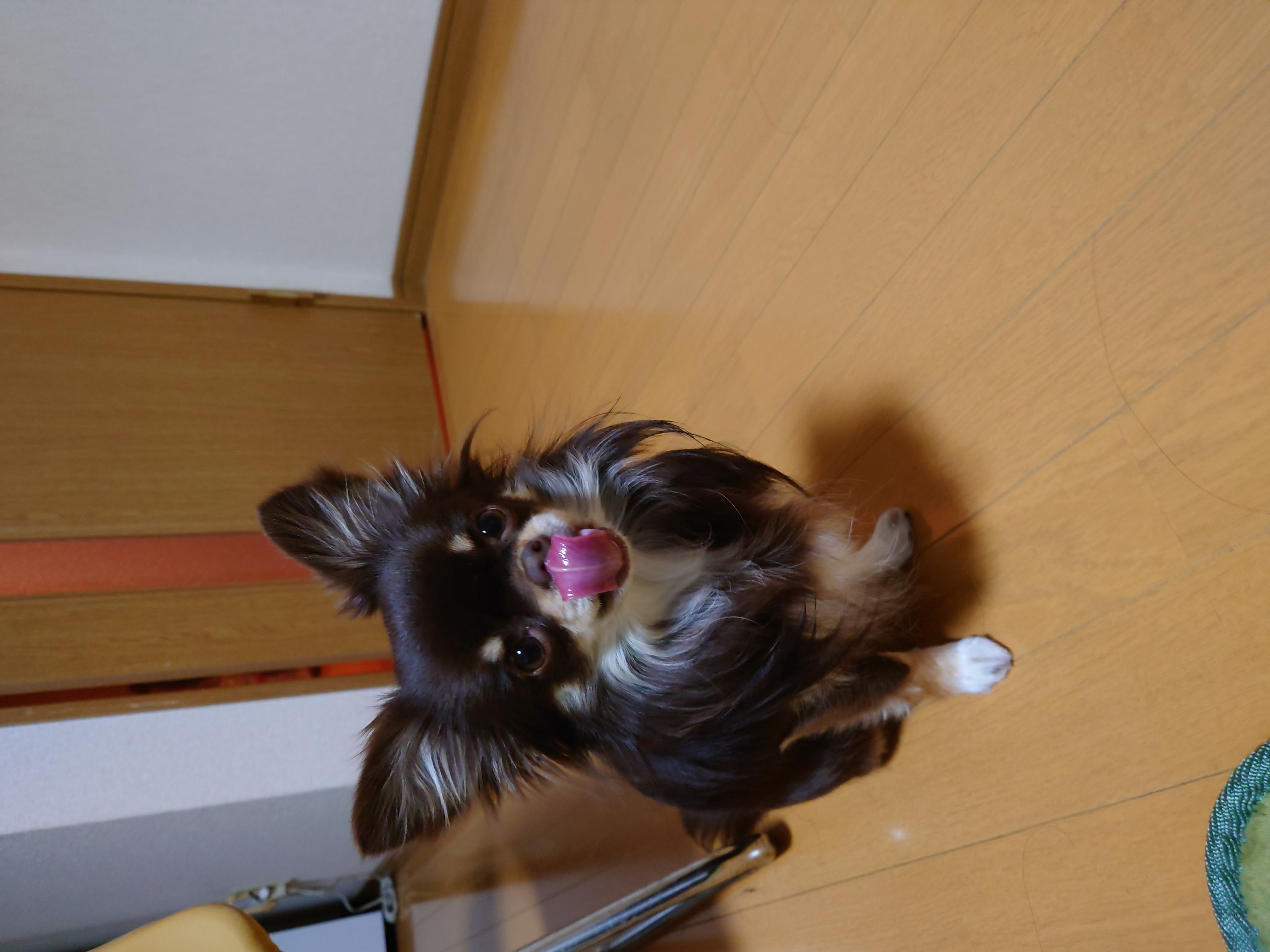 甲府東TSから春の花粉対策と安全運転ポイントのお知らせ🌸