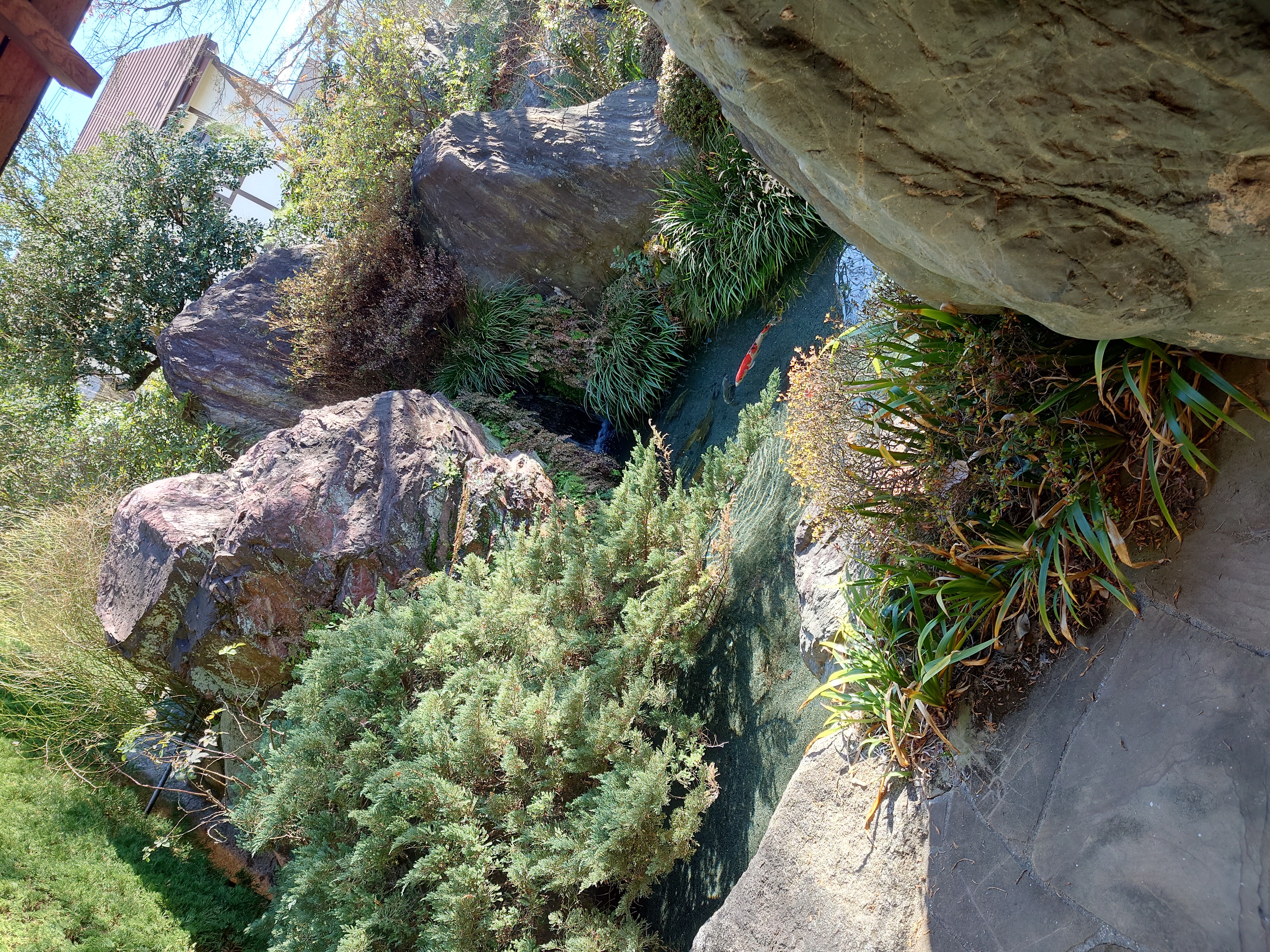 春の花粉対策と手洗い洗車で愛車ピカピカにしよう🚗✨