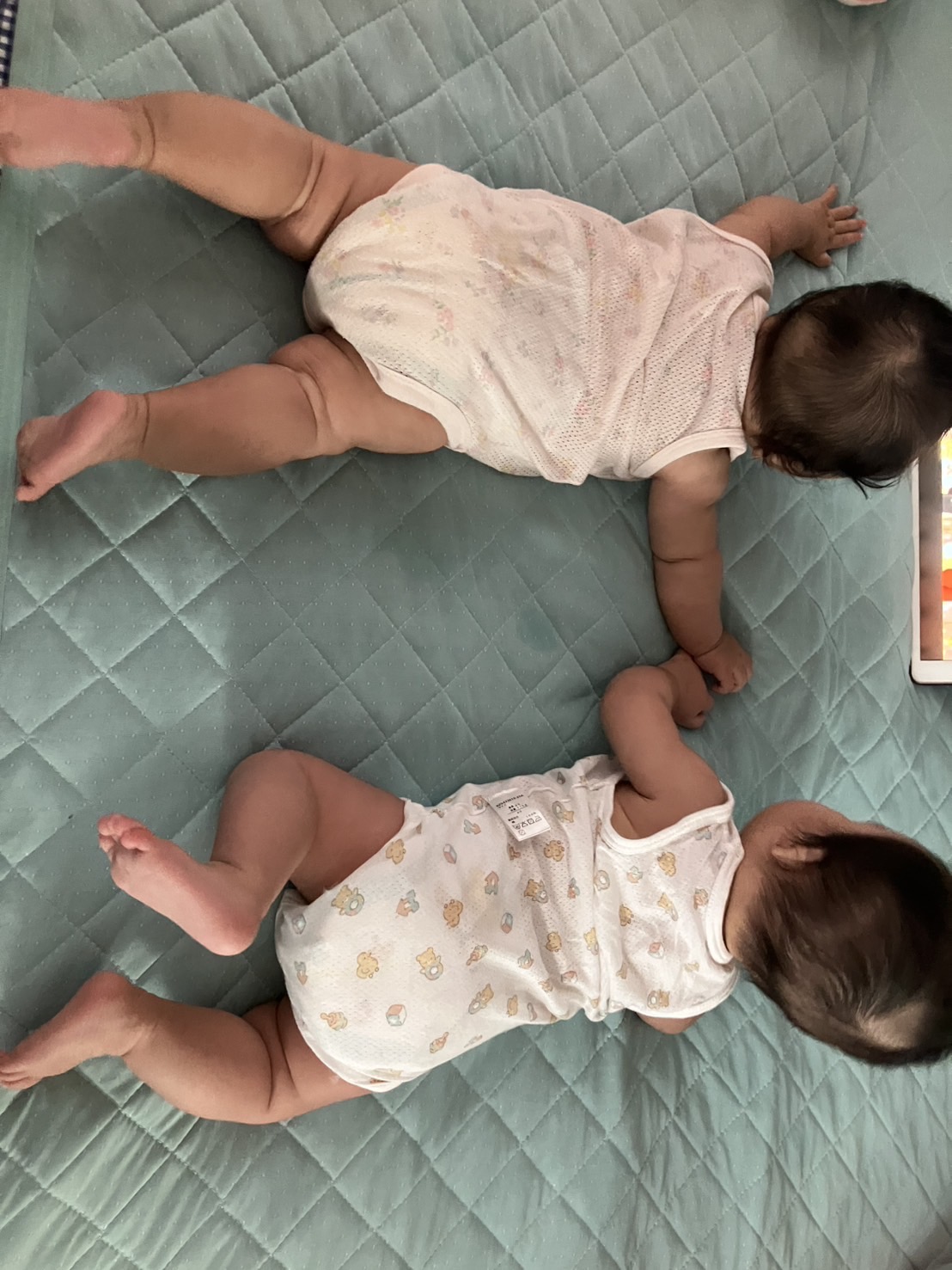うちの(姪甥っ)子たち、間もなく半年！！