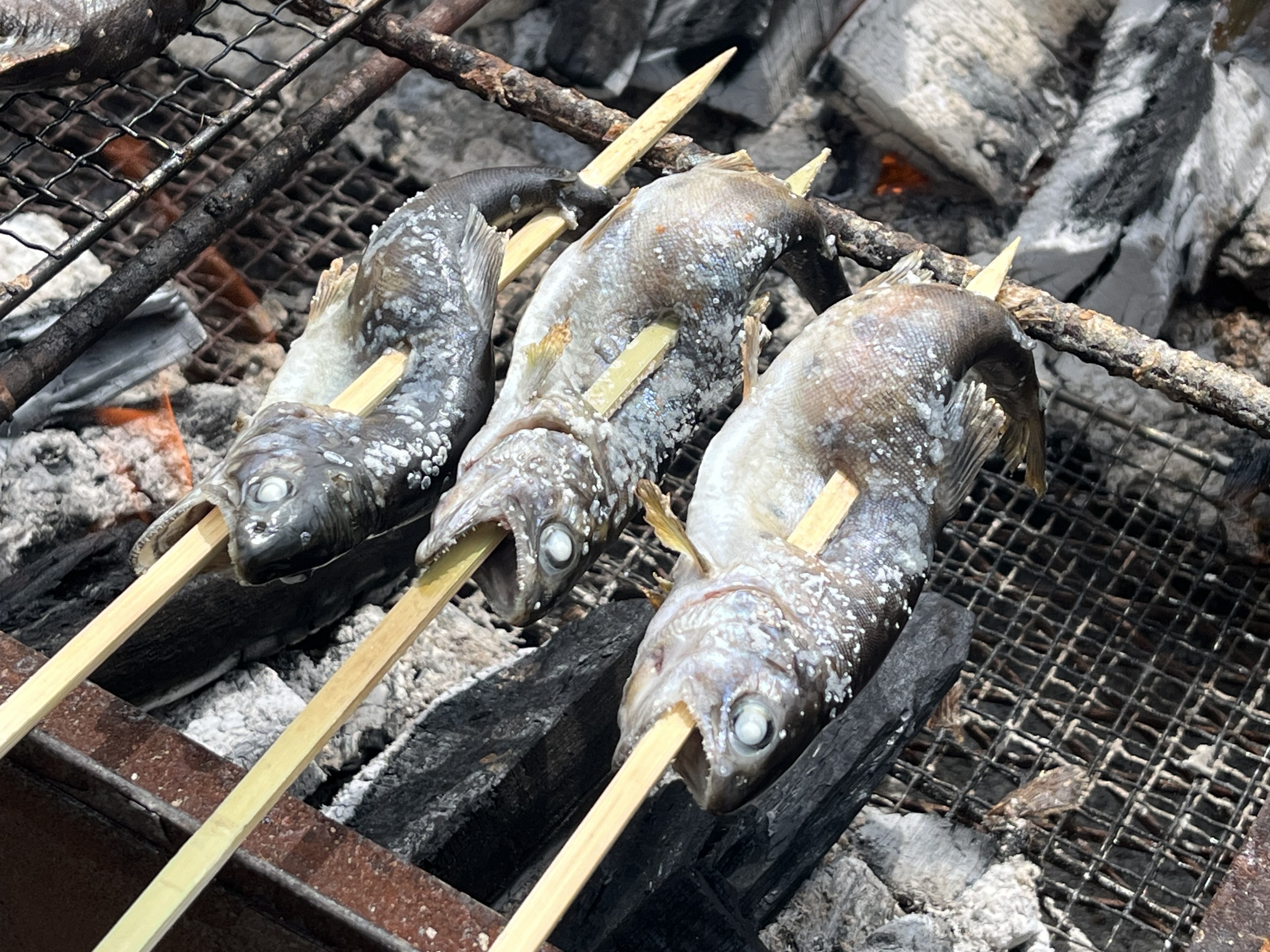 掴み取り🐟