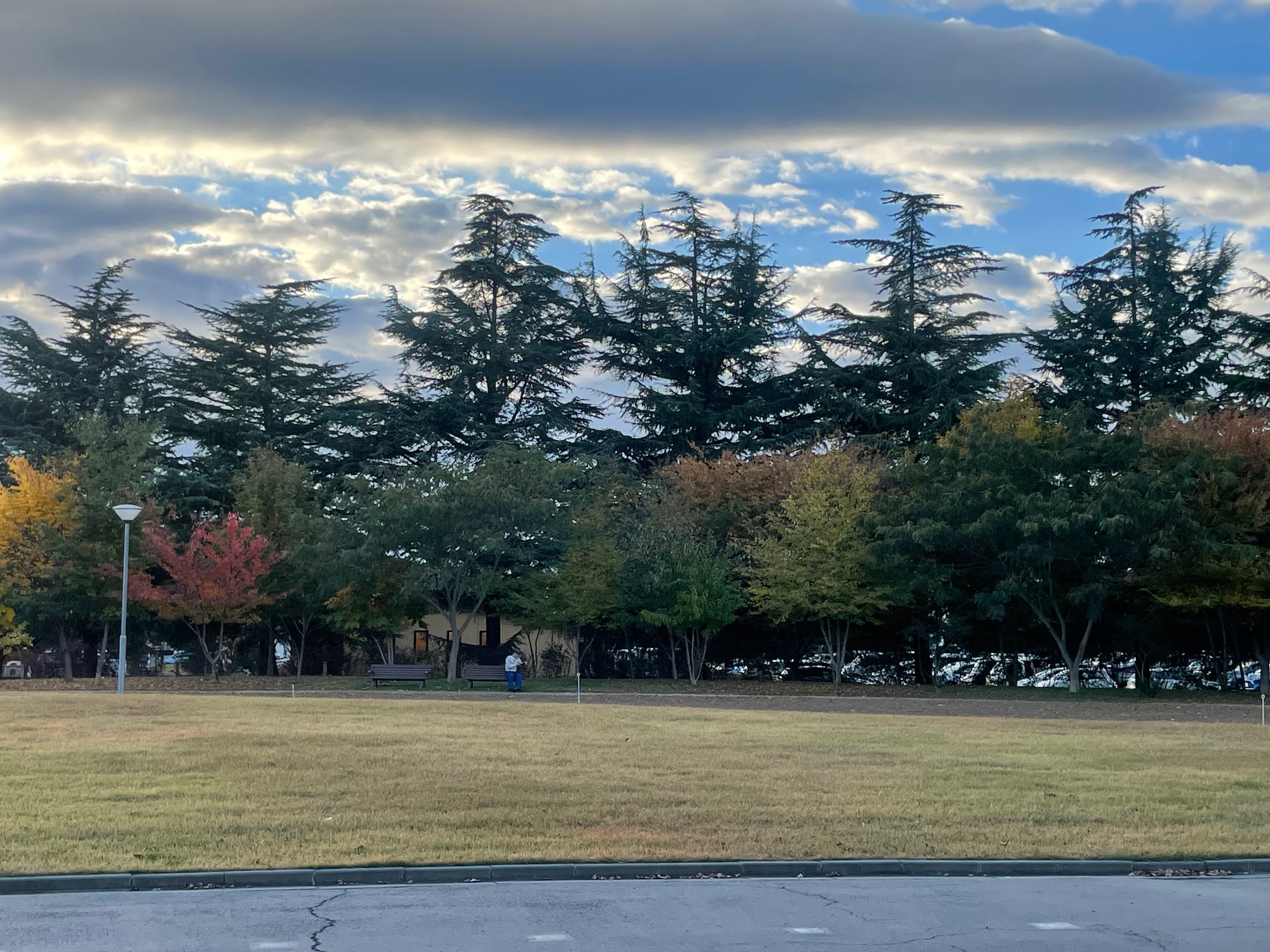 冬前に安心ドライブを！篠ノ井バイパスTSのタイヤ交換とコーティング情報🚗