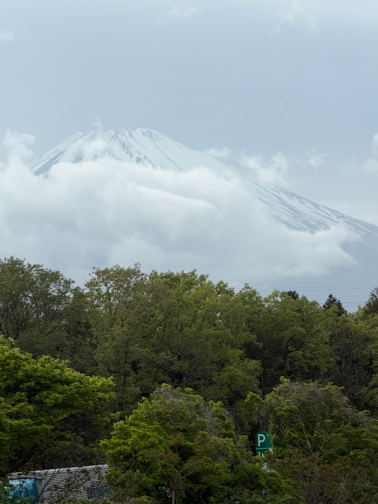 春の雨対策におすすめ車メンテナンスとお得キャンペーン情報🚗✨