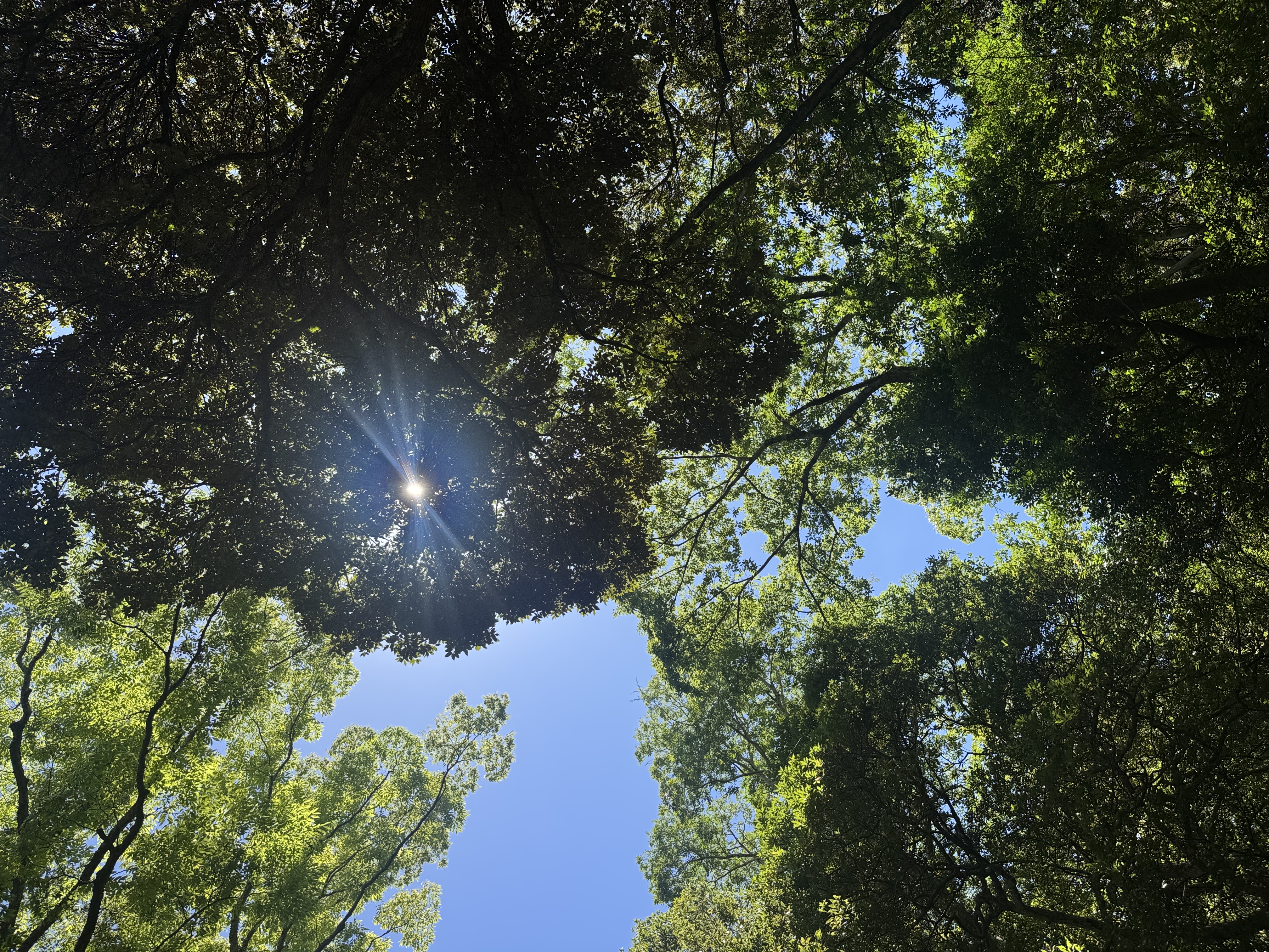 静岡裾野で安心スタッドレスタイヤ脱着キャンペーン開催中😊