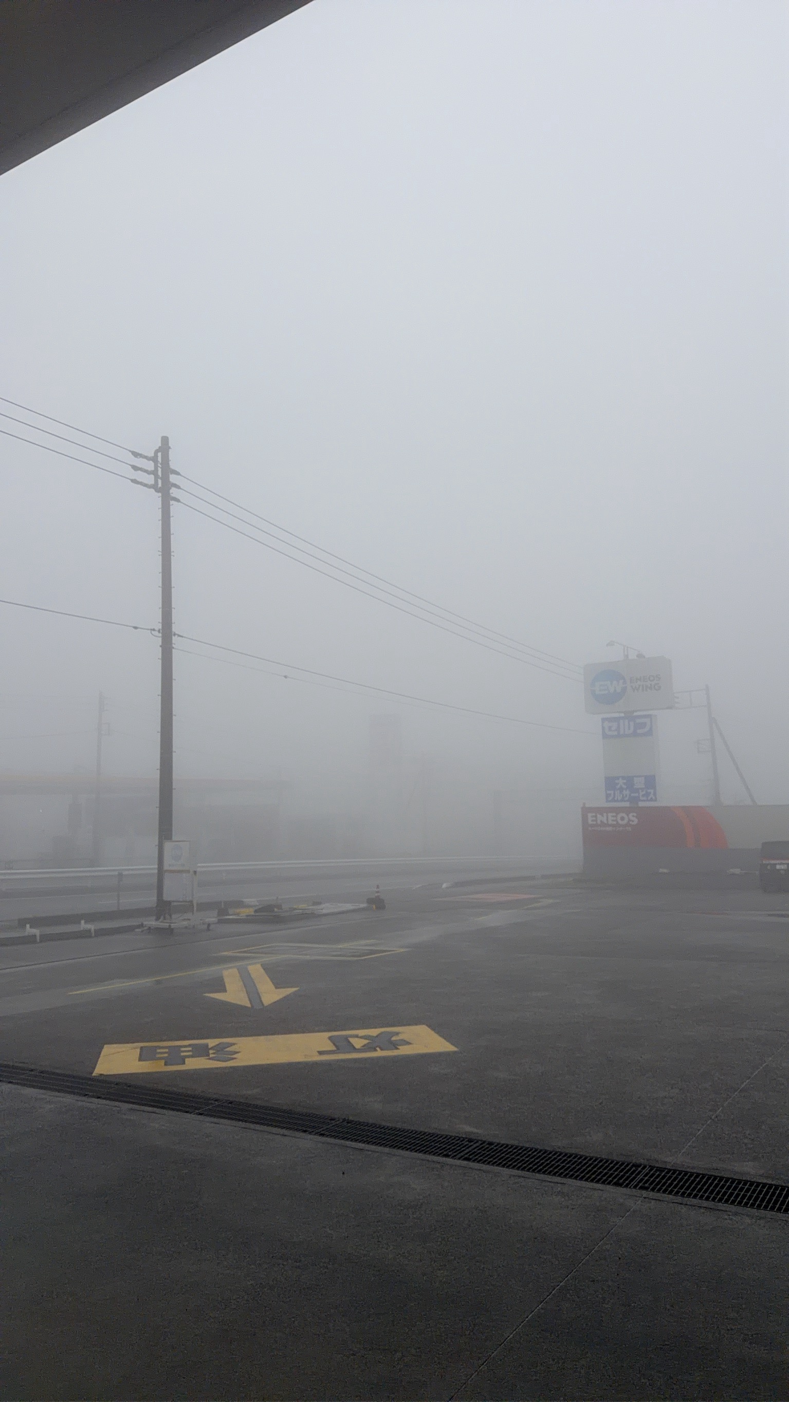 静岡裾野インターTS新人歓迎と春の車メンテポイント🌸