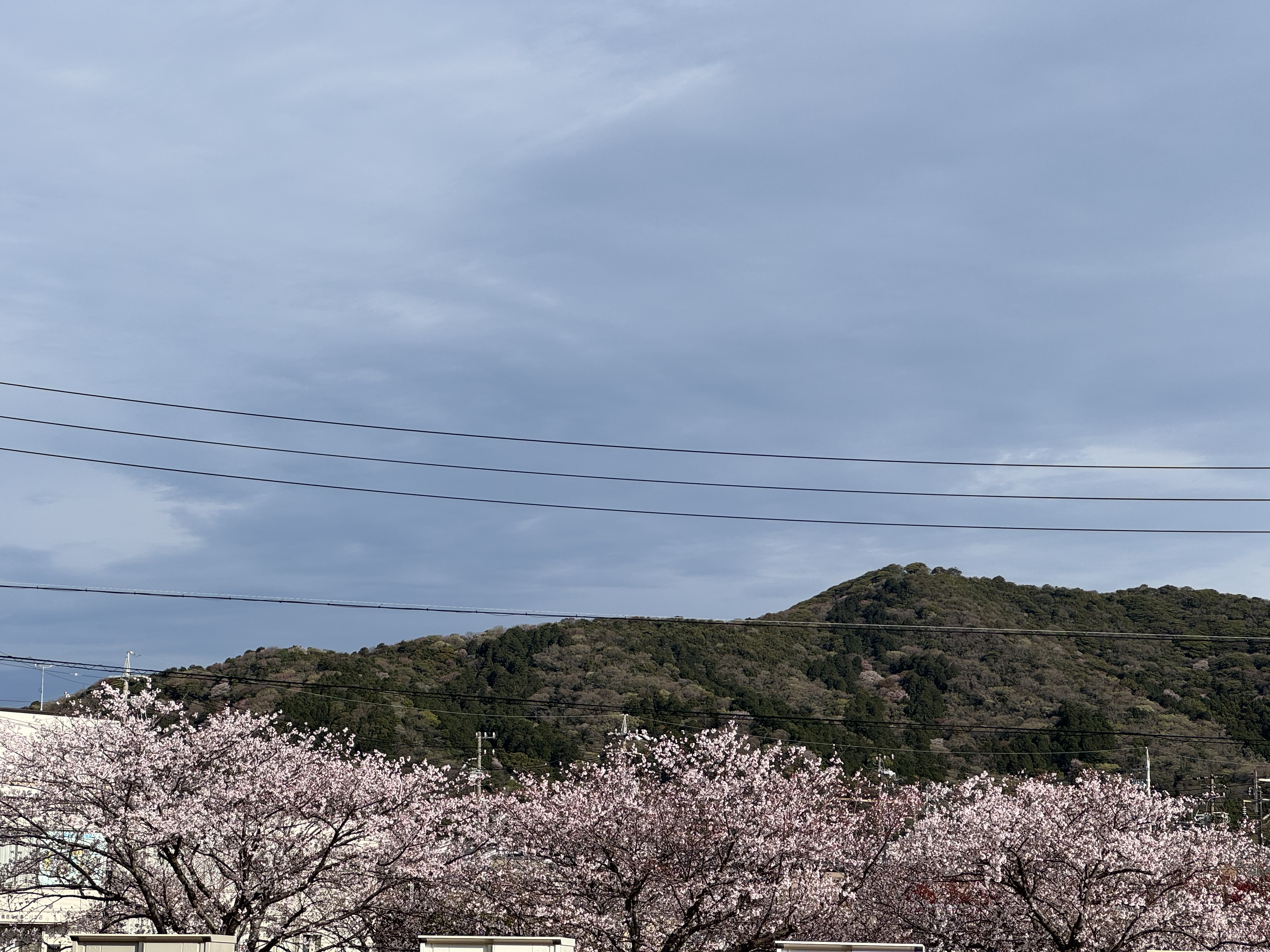 春のお出かけ前におすすめ車メンテナンスとオイル交換🌸安全ドライブの秘訣