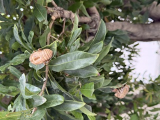 大発見？