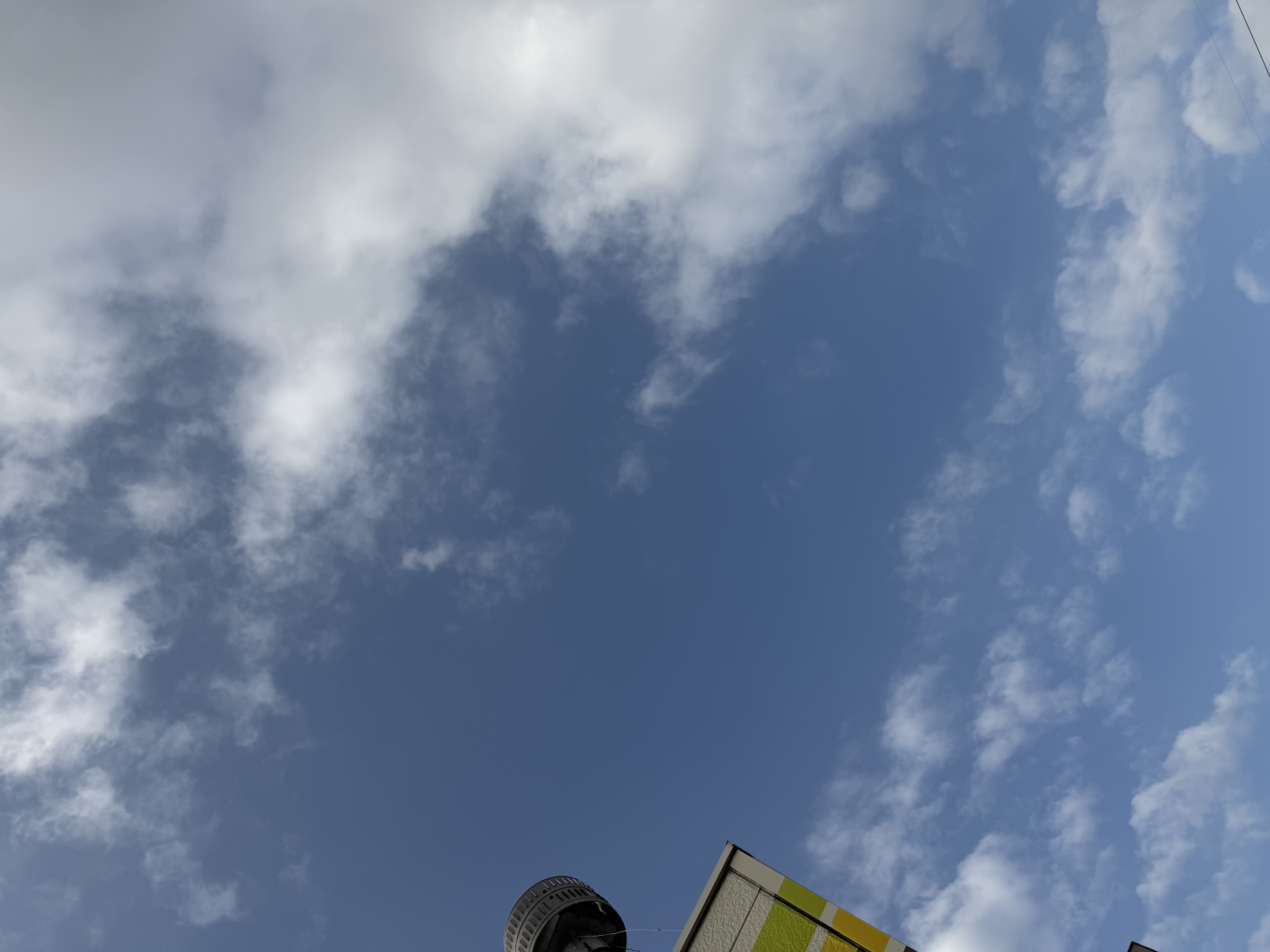 春の愛車メンテナンスは今がチャンス！洗車＆オイル半額キャンペーン開催中🚗