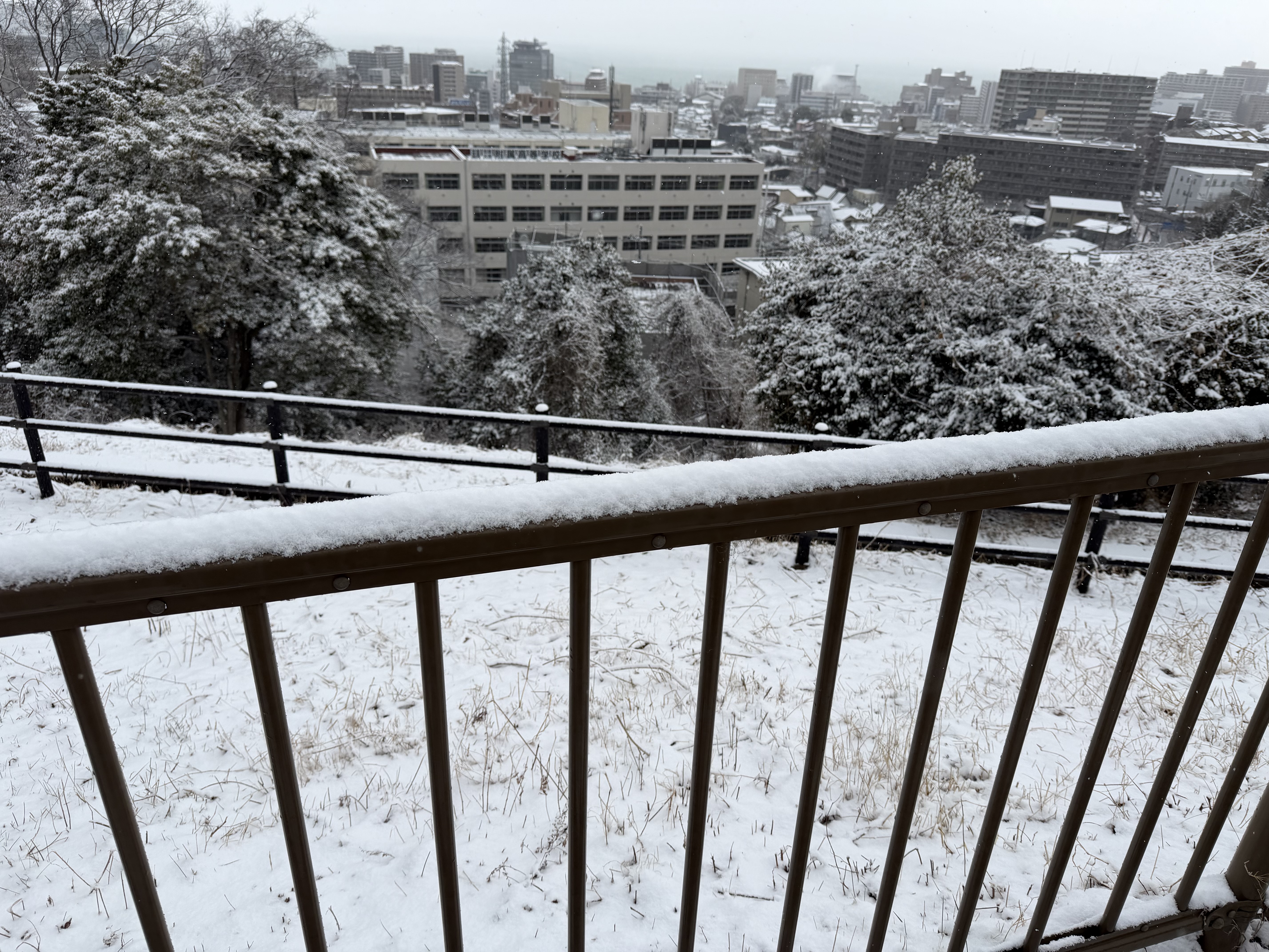 冬の車検点検で安心ドライブを実現！タイヤ大商談会も開催中🚗