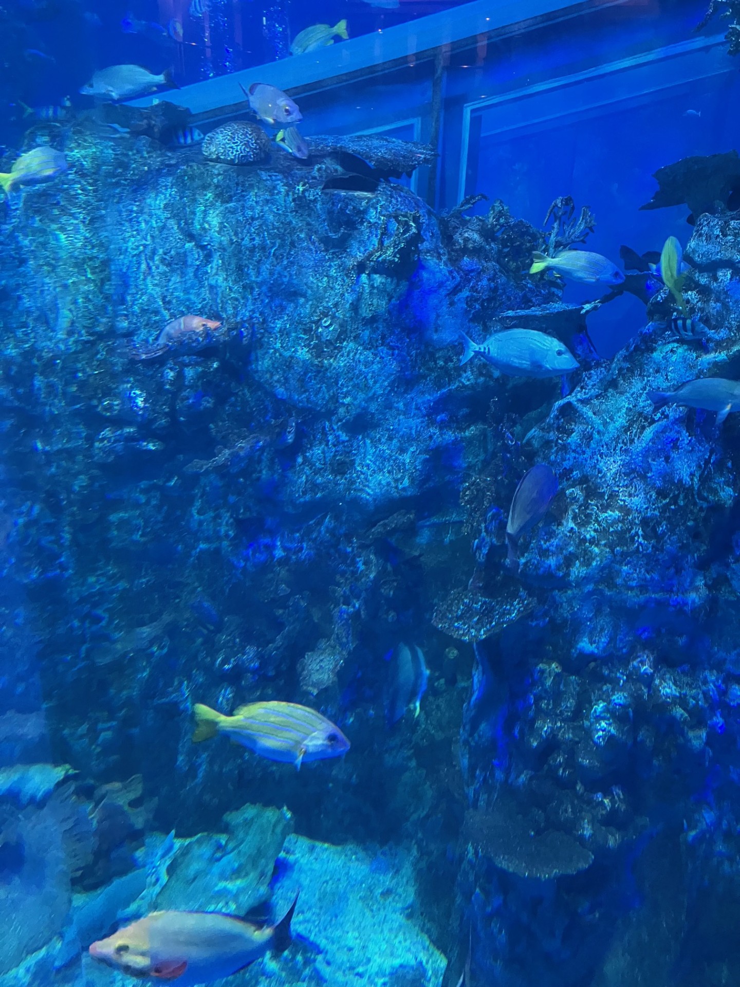 冬の車検とタイヤ点検で安心ドライブを豊橋西TSで🚗