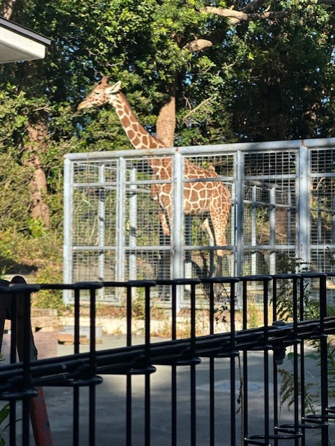 冬の安全運転に必須のタイヤ交換と愛車メンテナンス情報🚗