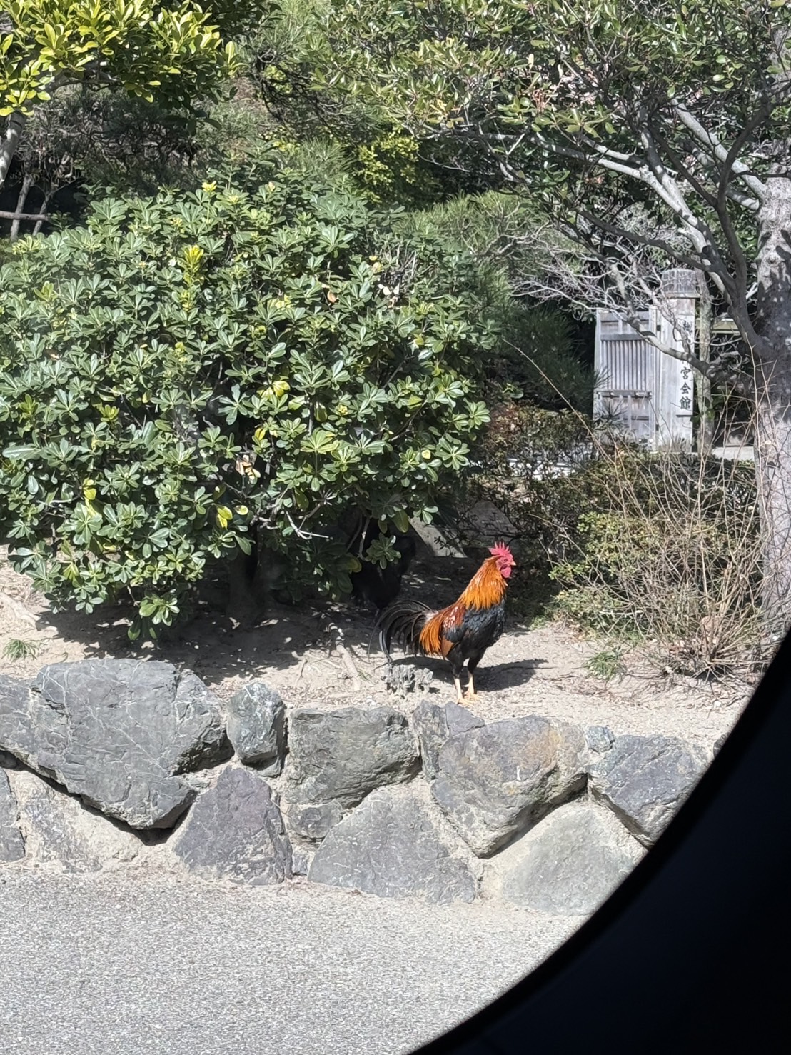 冬の車トラブル対策と洗車のコツをルート41小牧TSからお届け❄️