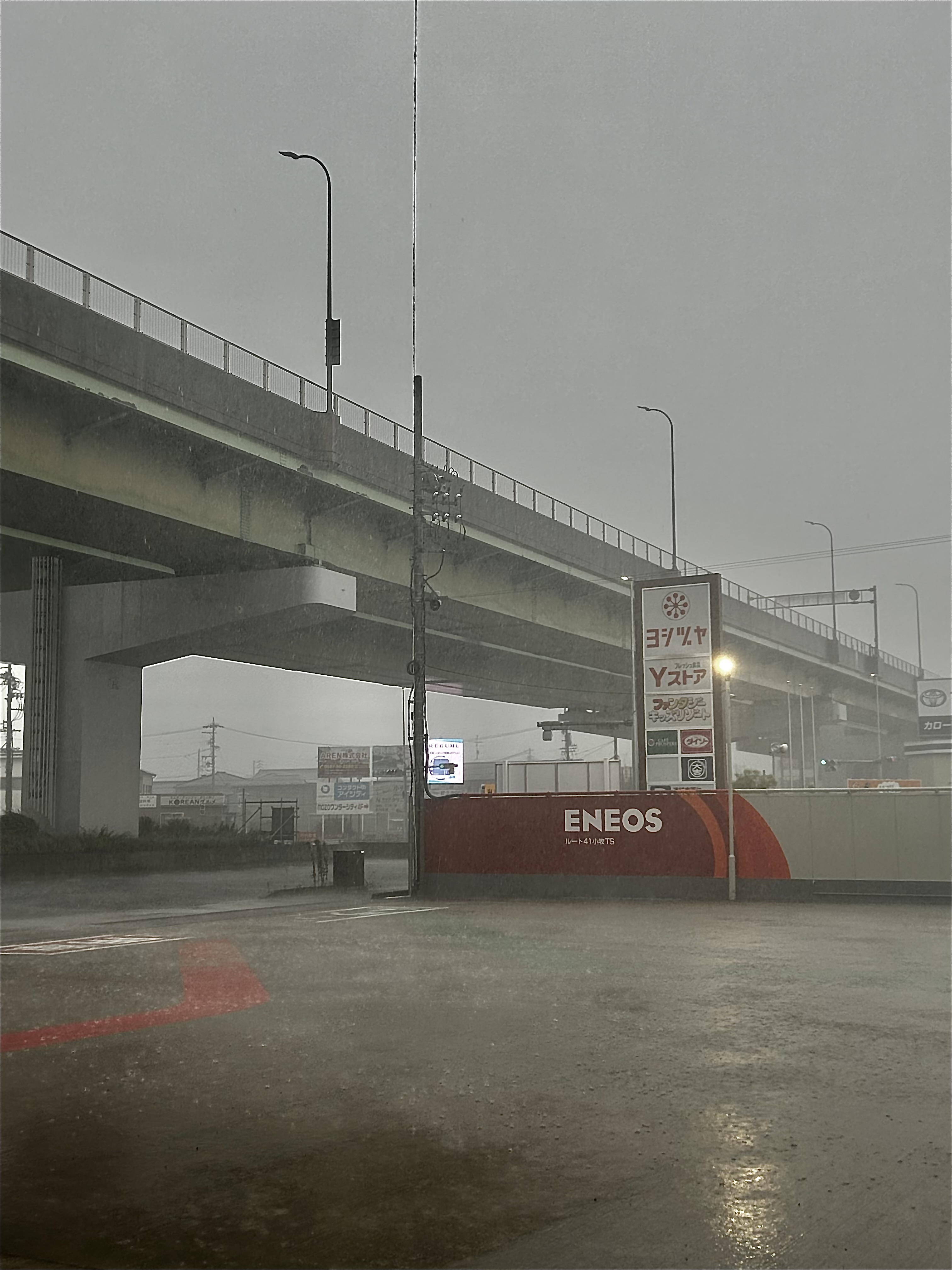 梅雨明け前に知りたい車のケアポイントと洗車サービス情報🚗