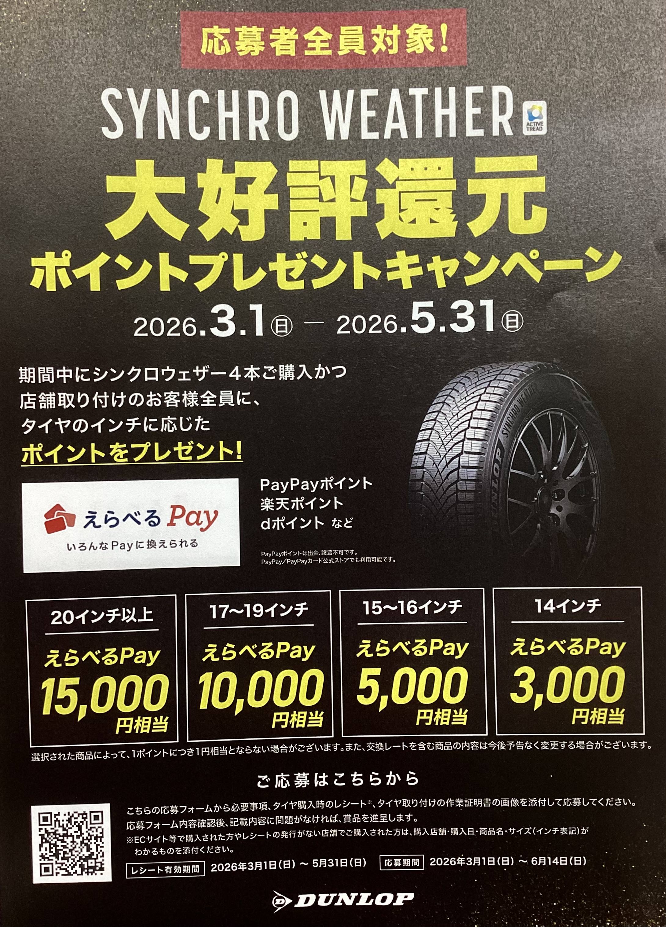 春の洗車とタイヤ点検で快適ドライブを応援します🚗✨