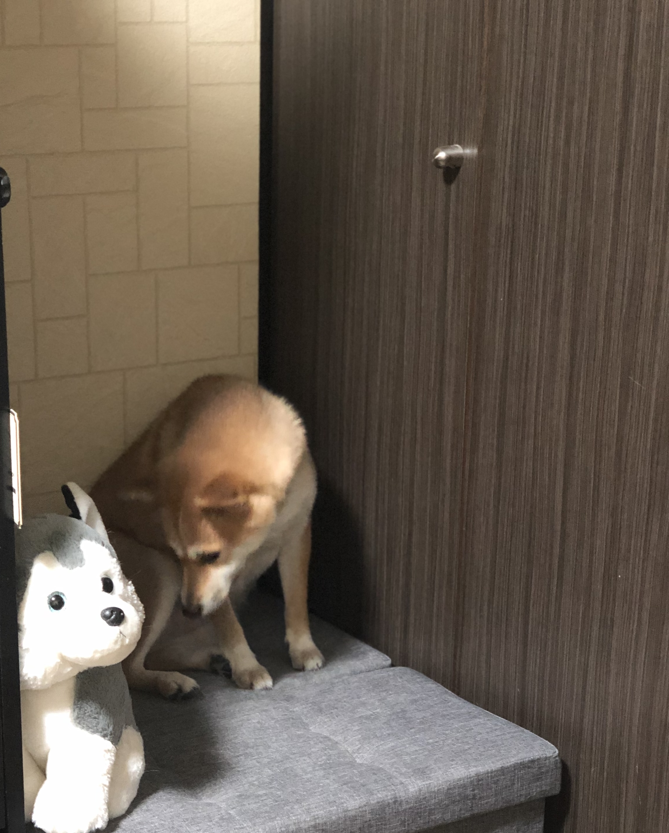 チョコが早めになくなってしまいごめんなさい