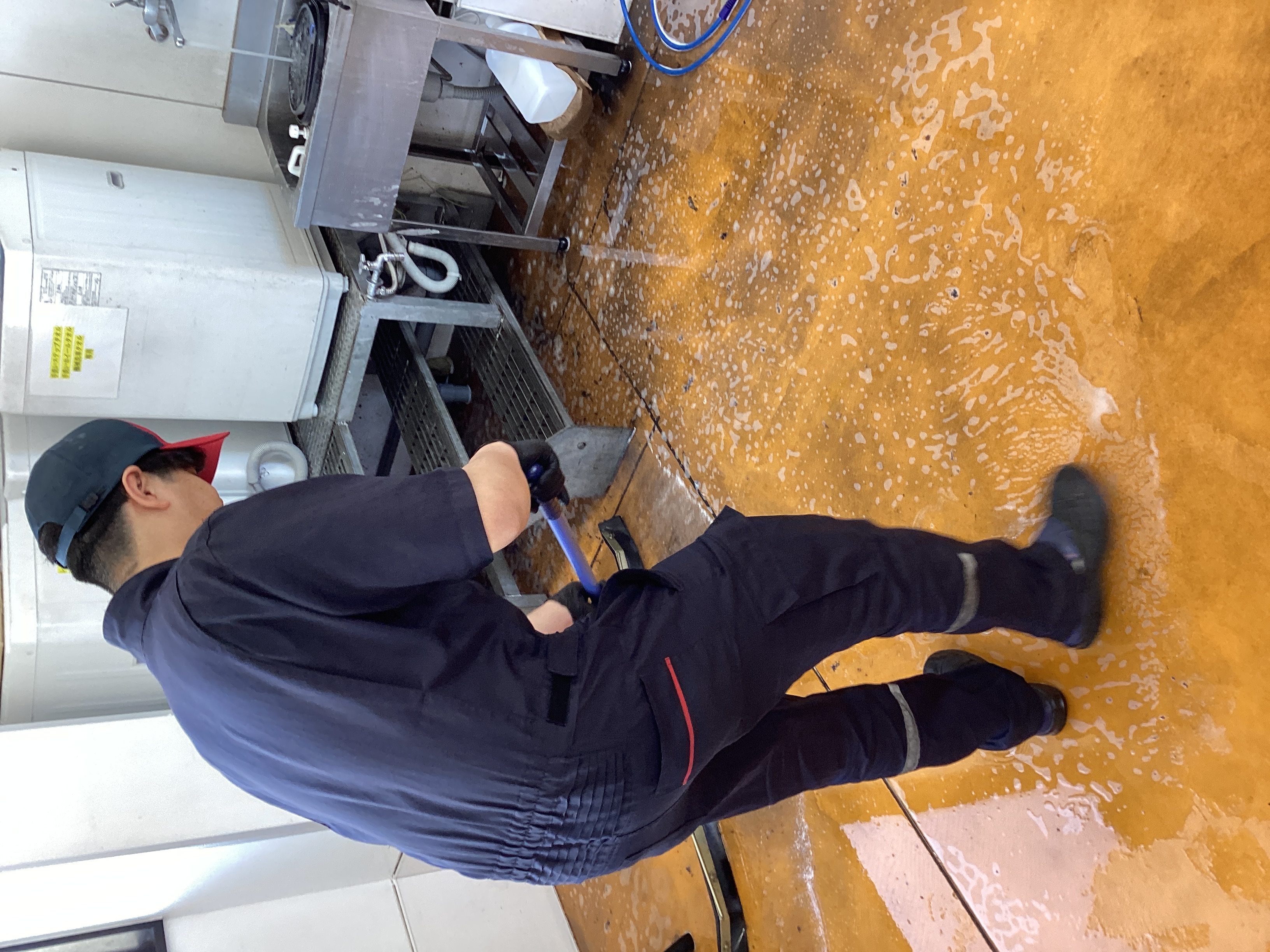 春の愛車メンテナンスにおすすめ洗車半額キャンペーン開催中🧽