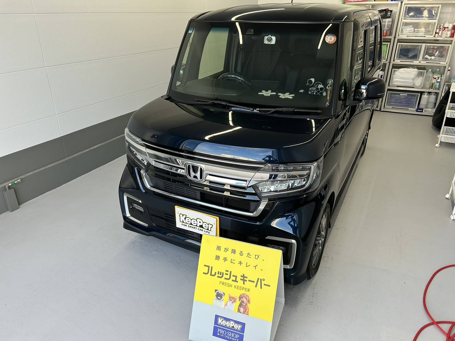 春のドライブ前におすすめ車コーティングとお手入れポイント🚗