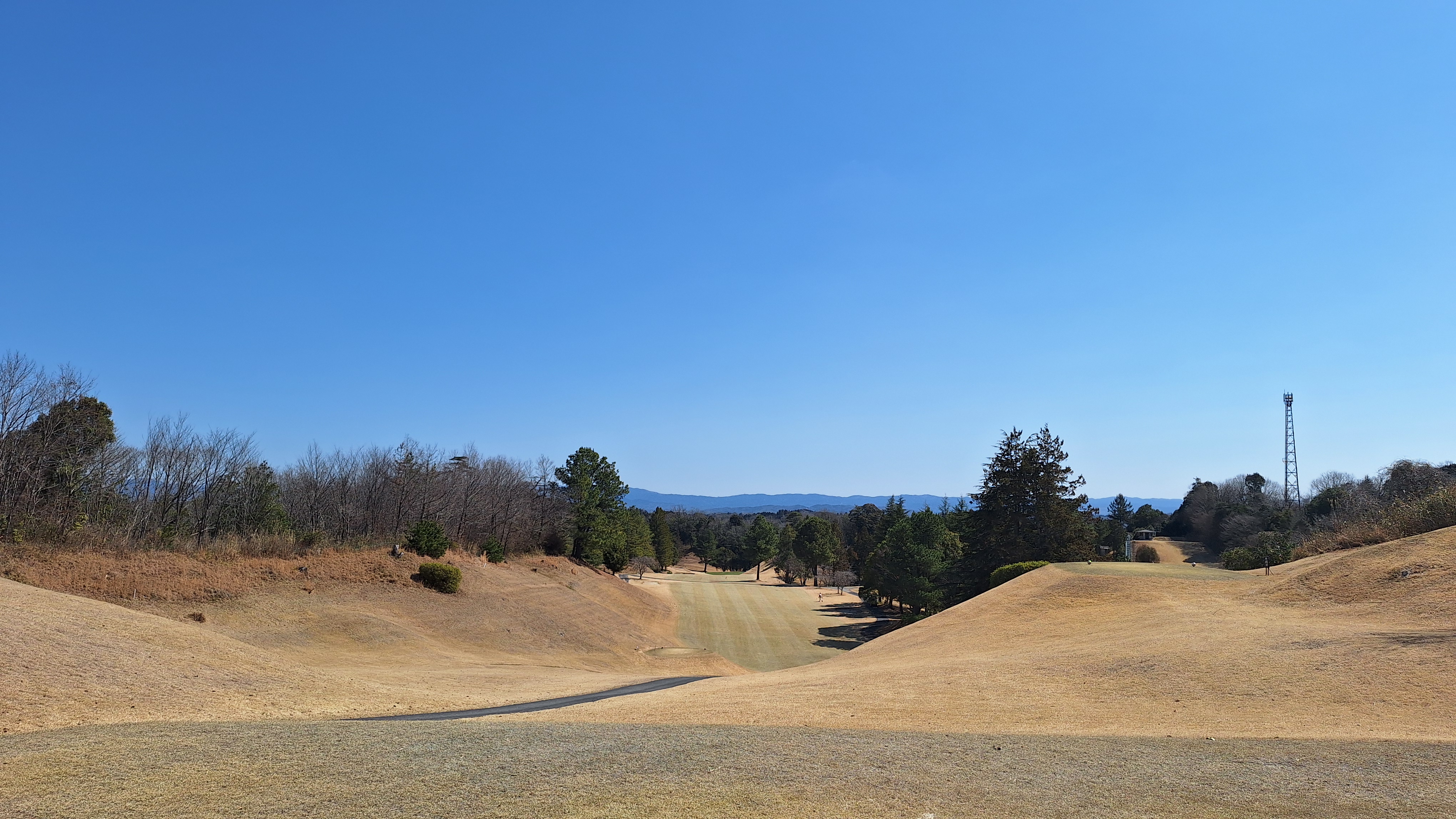 春の車メンテナンスポイントと楽しいゴルフ休日の過ごし方⛳️