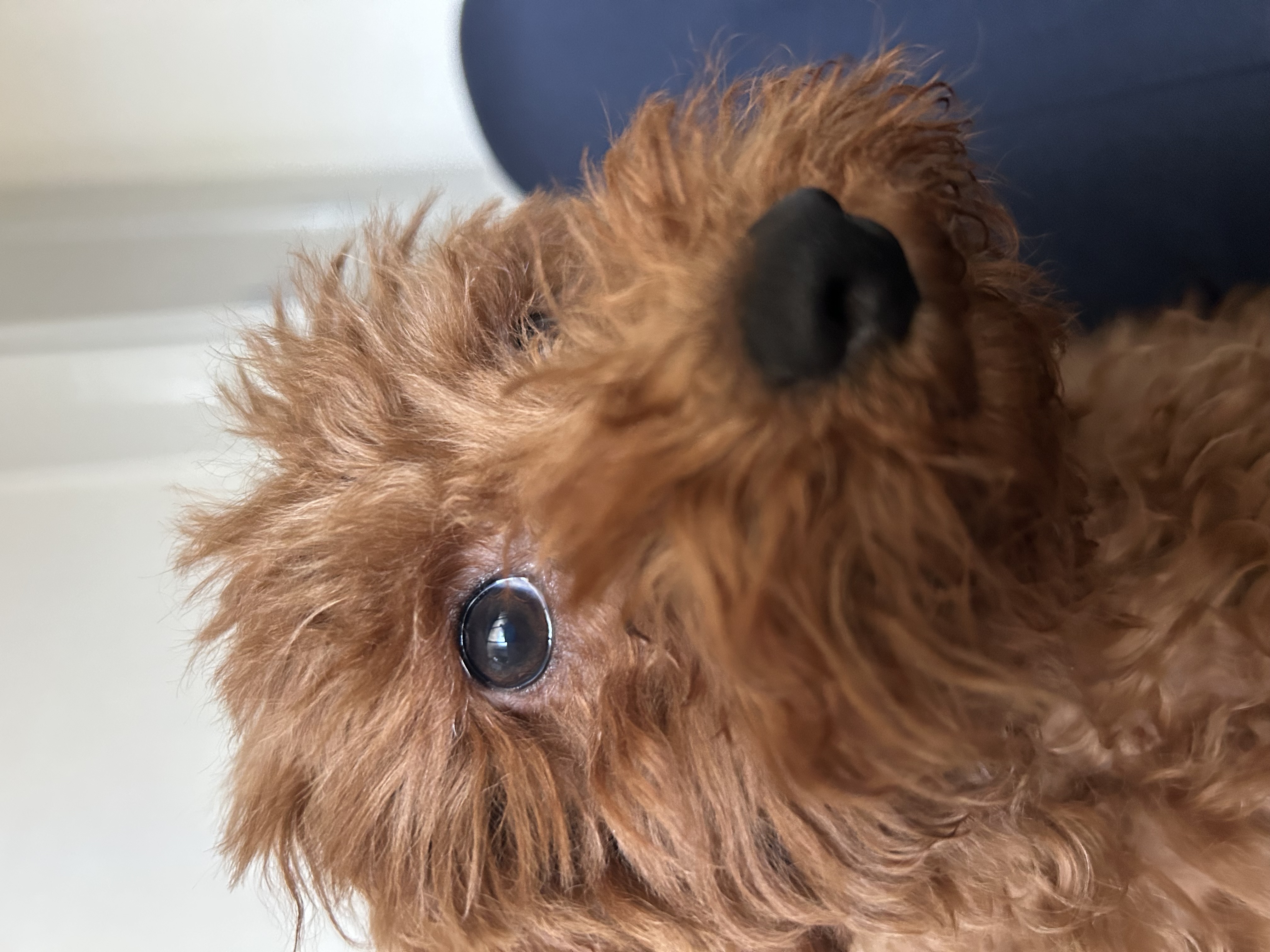 岸和田臨海TSで安心メンテ 春の洗車とオイル交換ポイント🚗