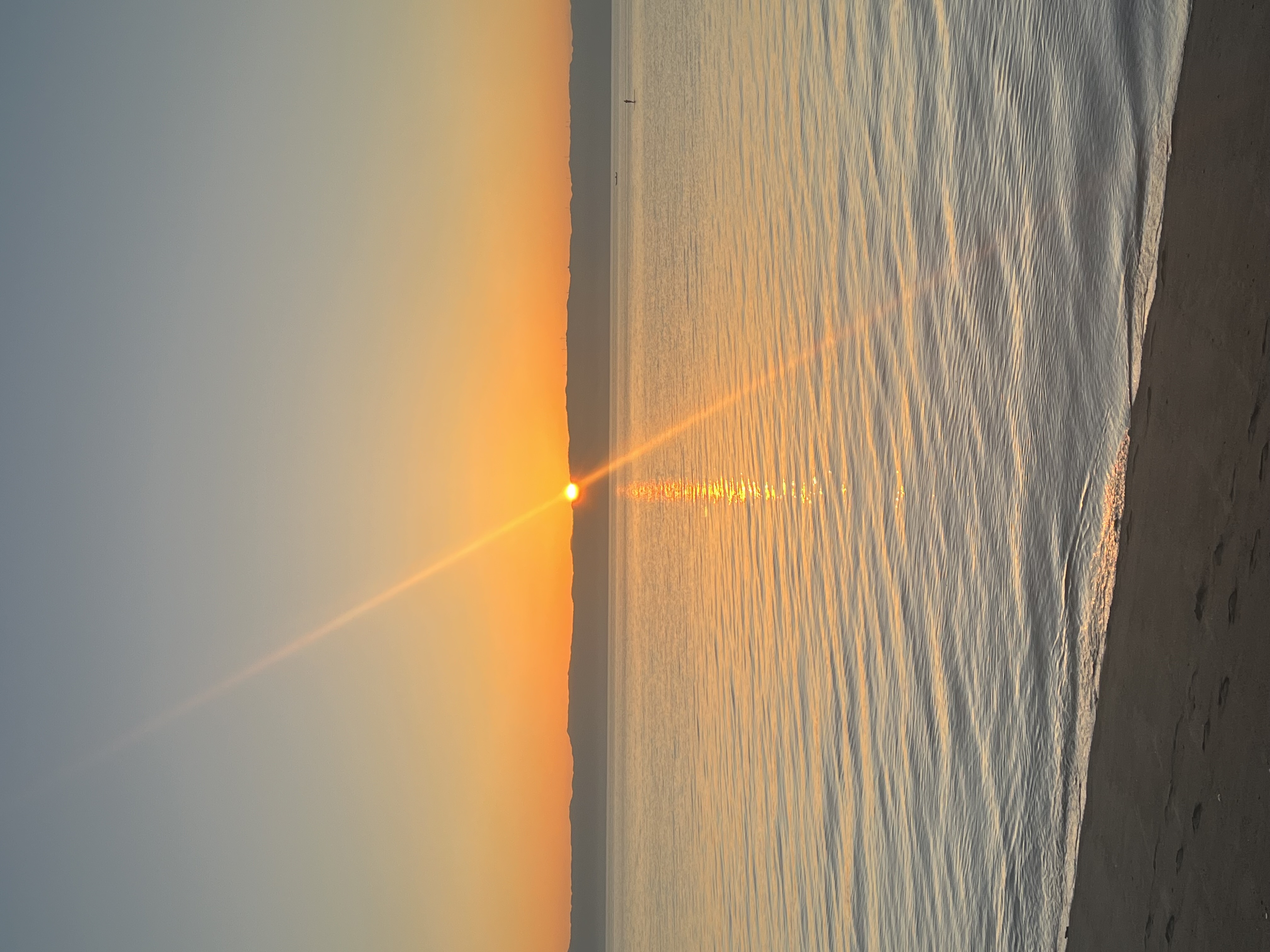 春のドライブ前にチェックしたい車のメンテナンスポイント⛽✨