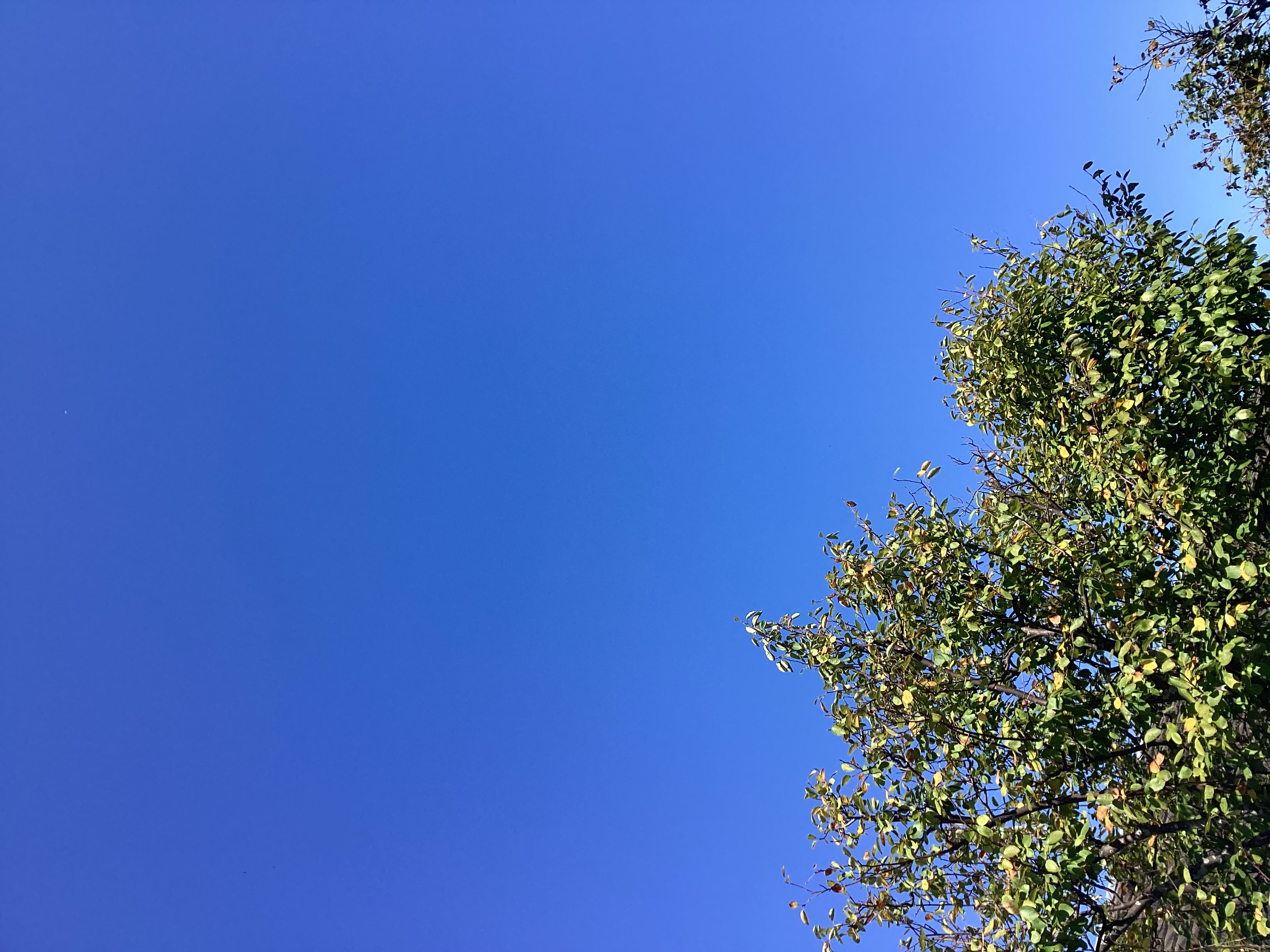 佐賀光法SSの手洗い洗車半額キャンペーンで愛車ピカピカに🚗