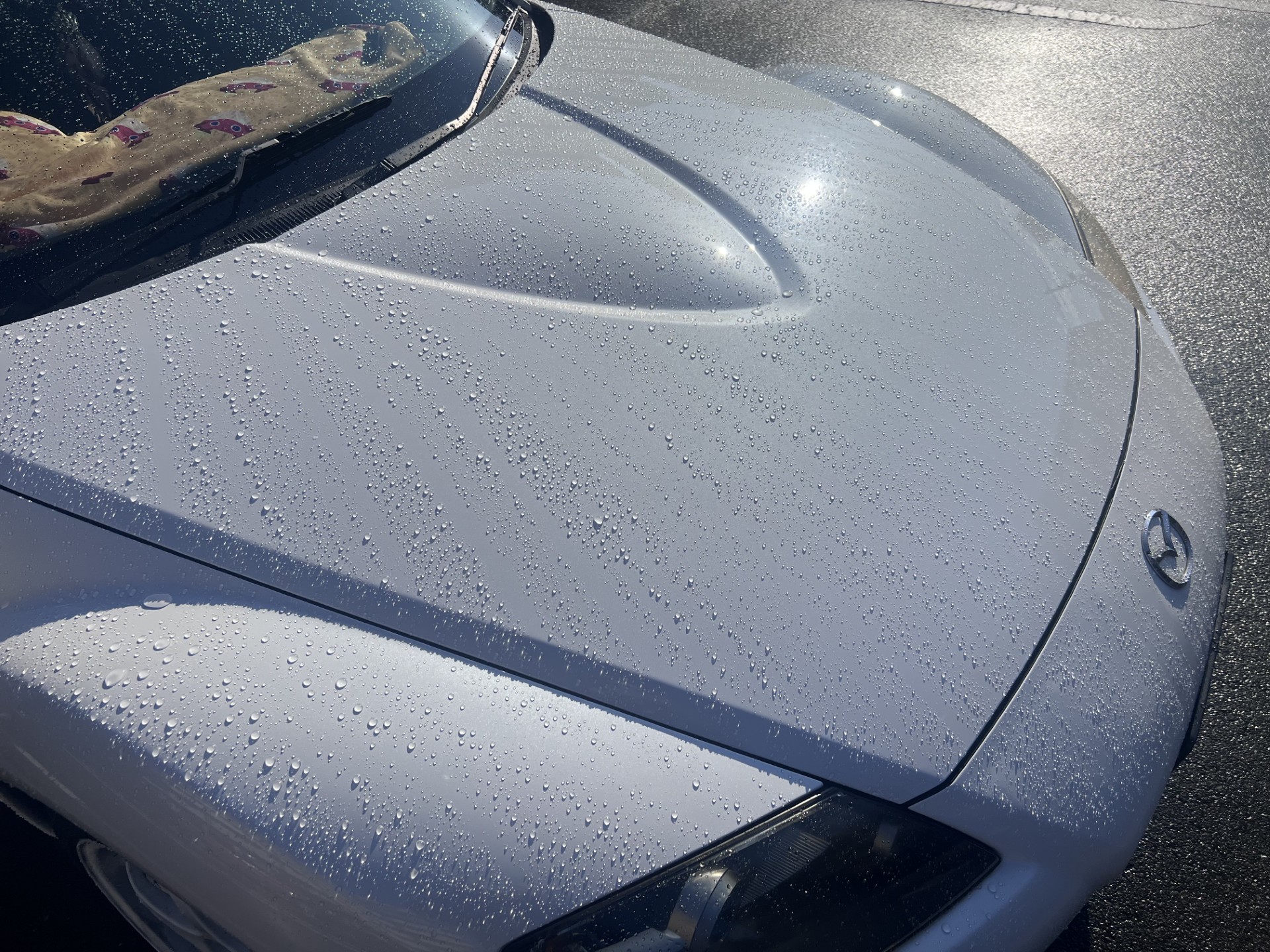 基山TSで秋の水シミ対策とコーティング10％OFFキャンペーン開催中🍁