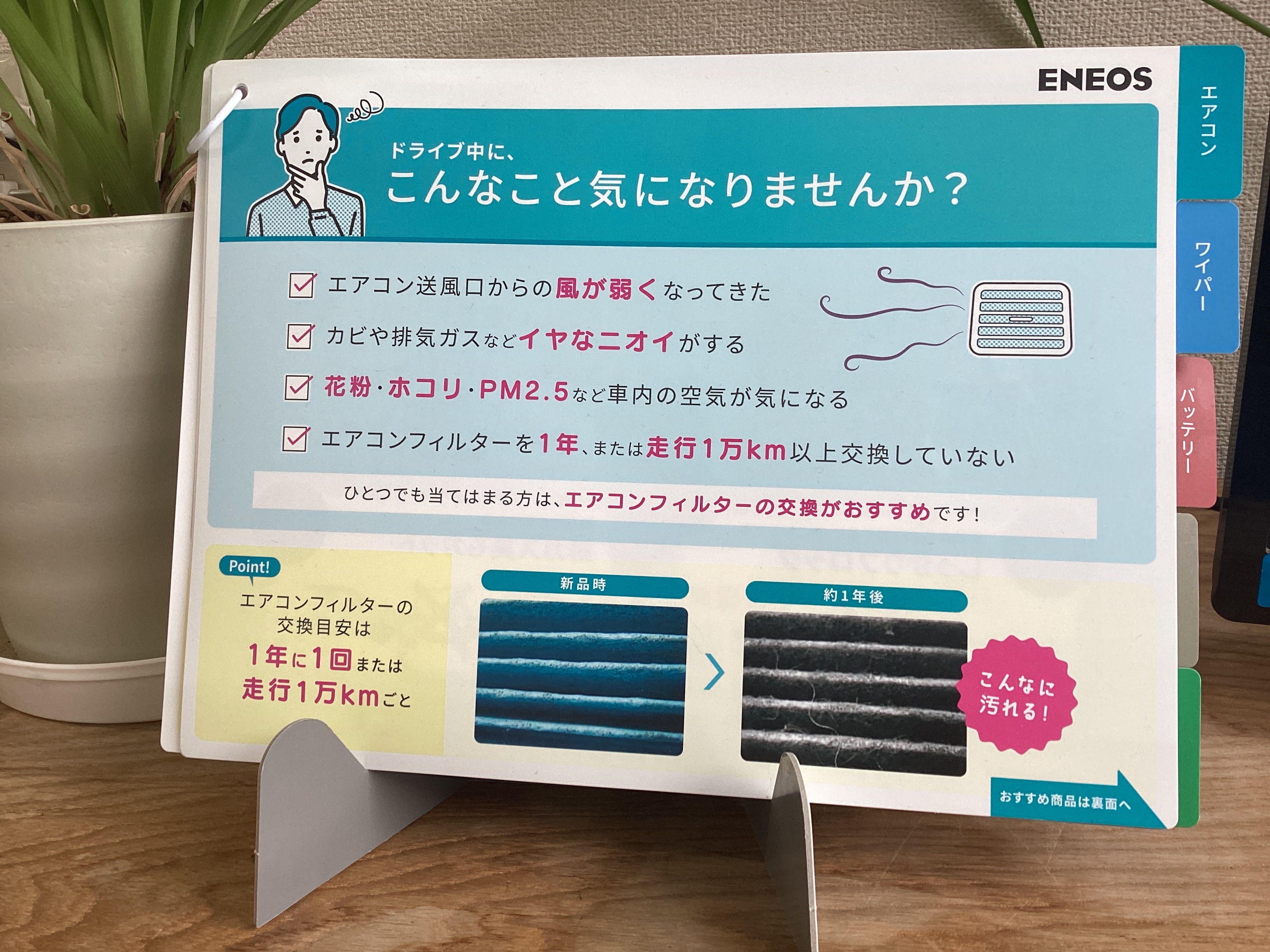 💚5月15日💚