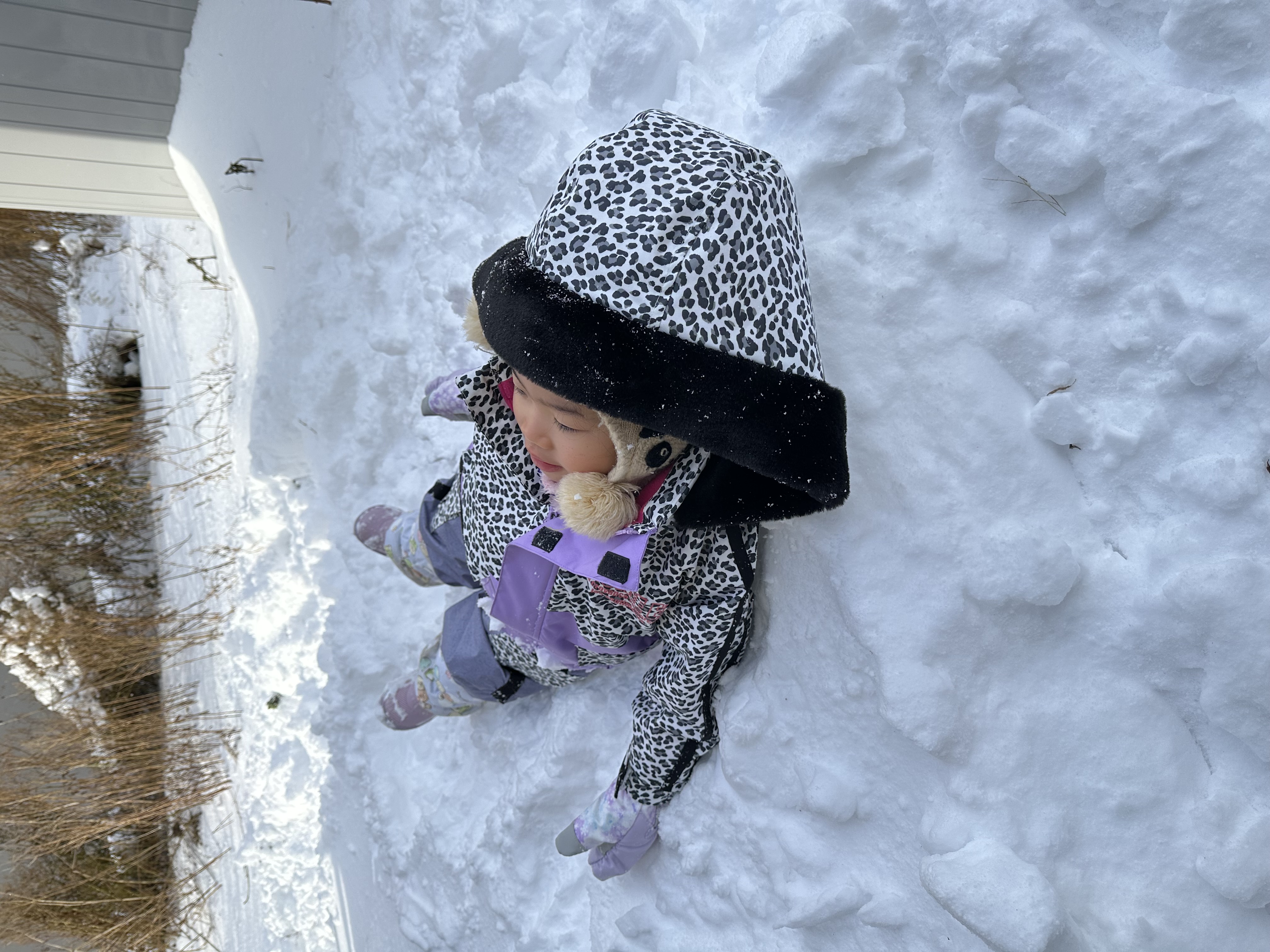 子供達は大喜び😉