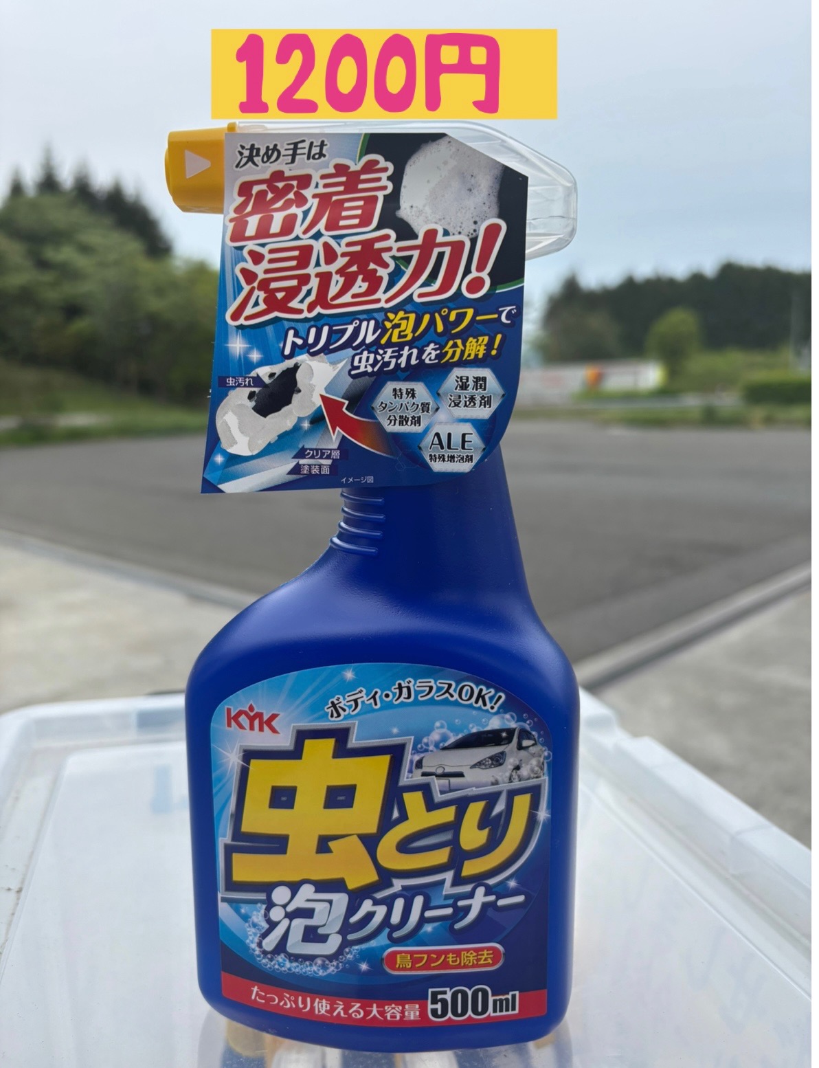 虫取りスプレーでフロントガラスがピカピカに🚗✨