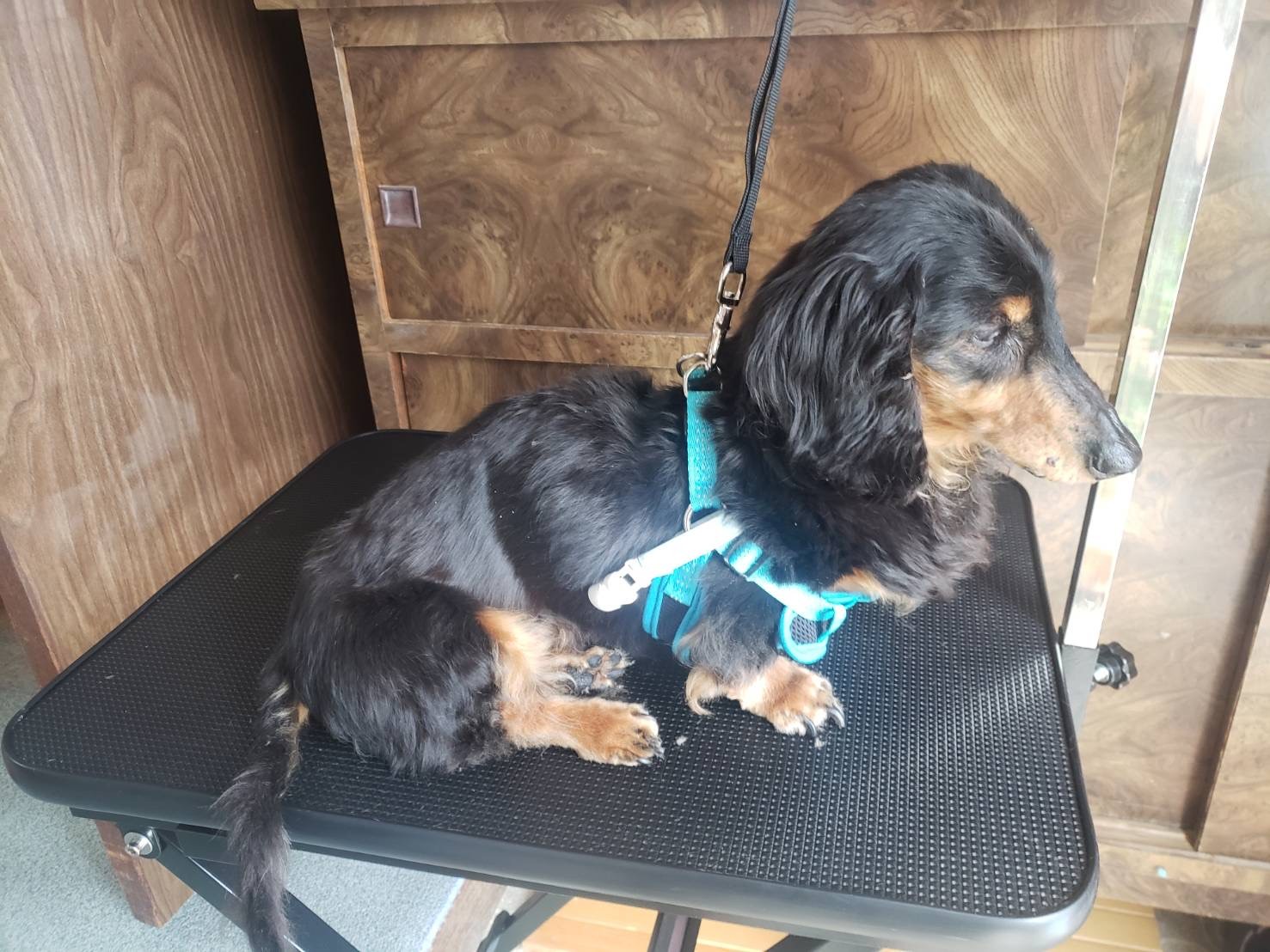 ルート45石巻TS春の大掃除と安心ドライブ点検のすすめ🌸｜ルート45石巻TS｜202603041602