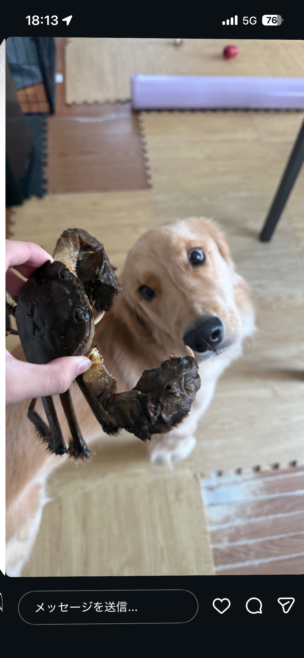 春のタイヤ交換と点検で快適ドライブを応援します🚗