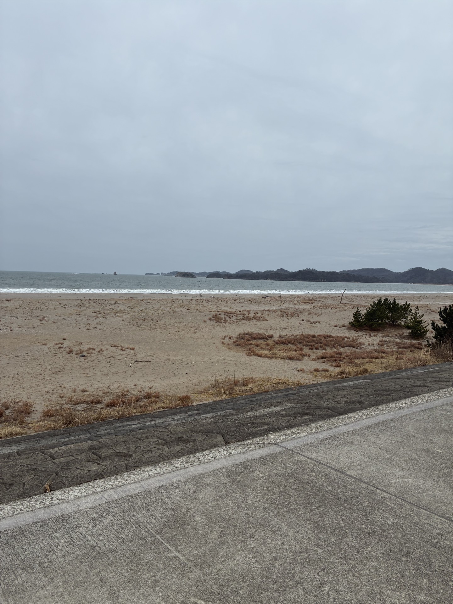 春のタイヤ交換と愛車ケアで快適ドライブを楽しもう🌸