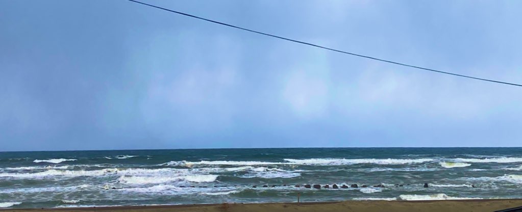 春の手洗い洗車イベント開催 車も心もリフレッシュしよう🌸