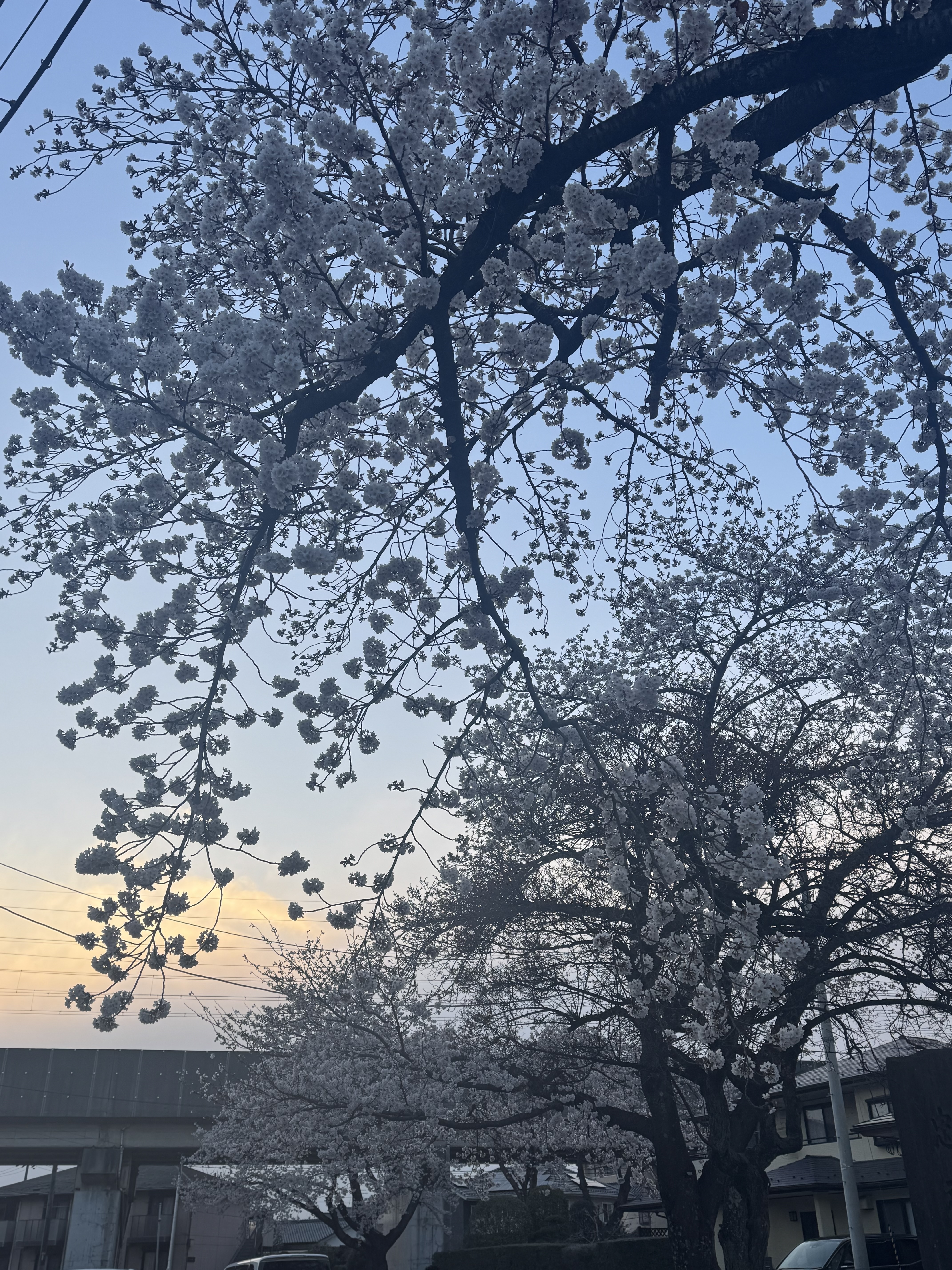 春のタイヤ交換と洗車で快適ドライブ準備しよう🚗✨