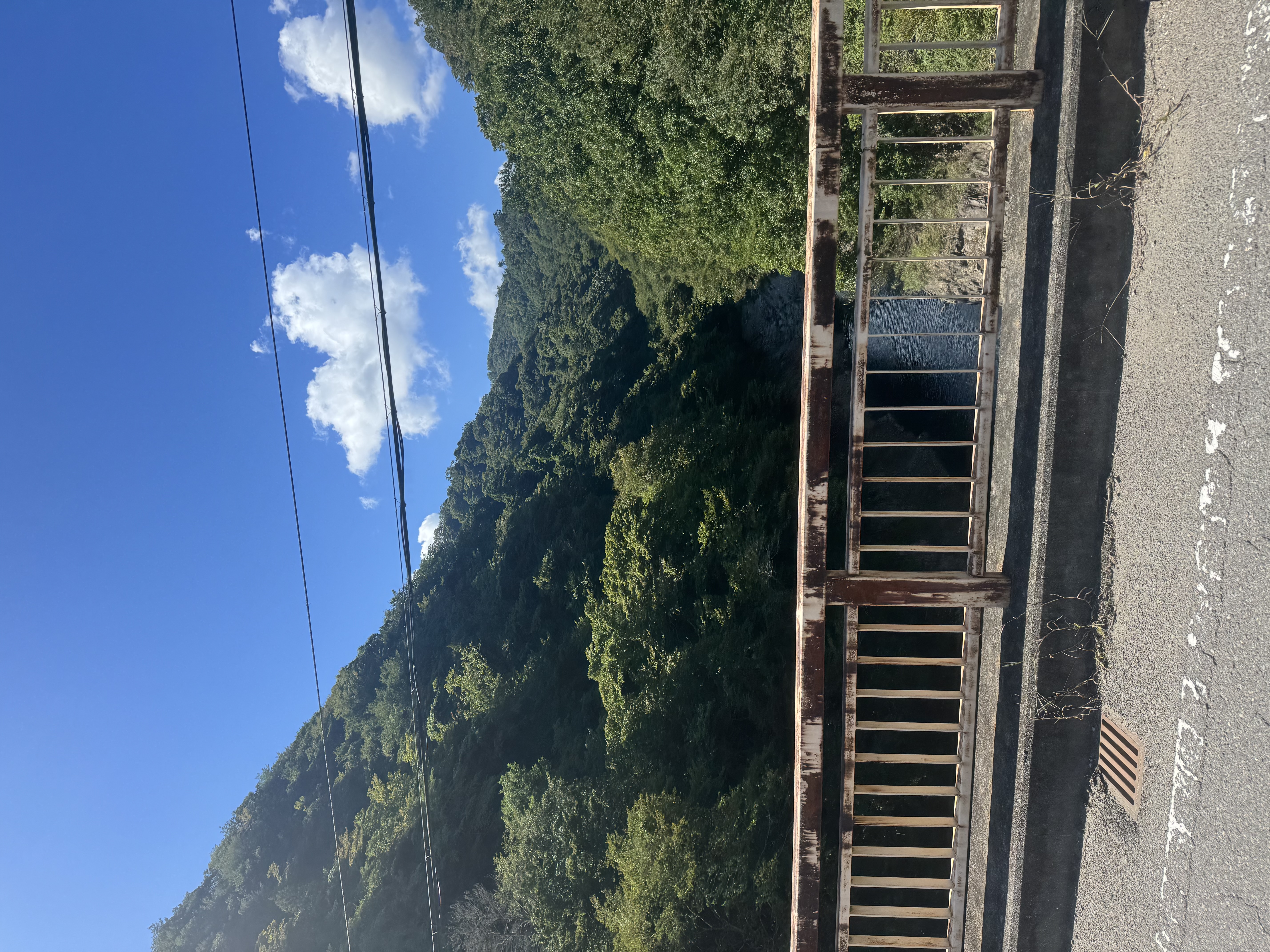 秋の手洗い洗車でピカピカに！冬前の車メンテもお任せ🚗