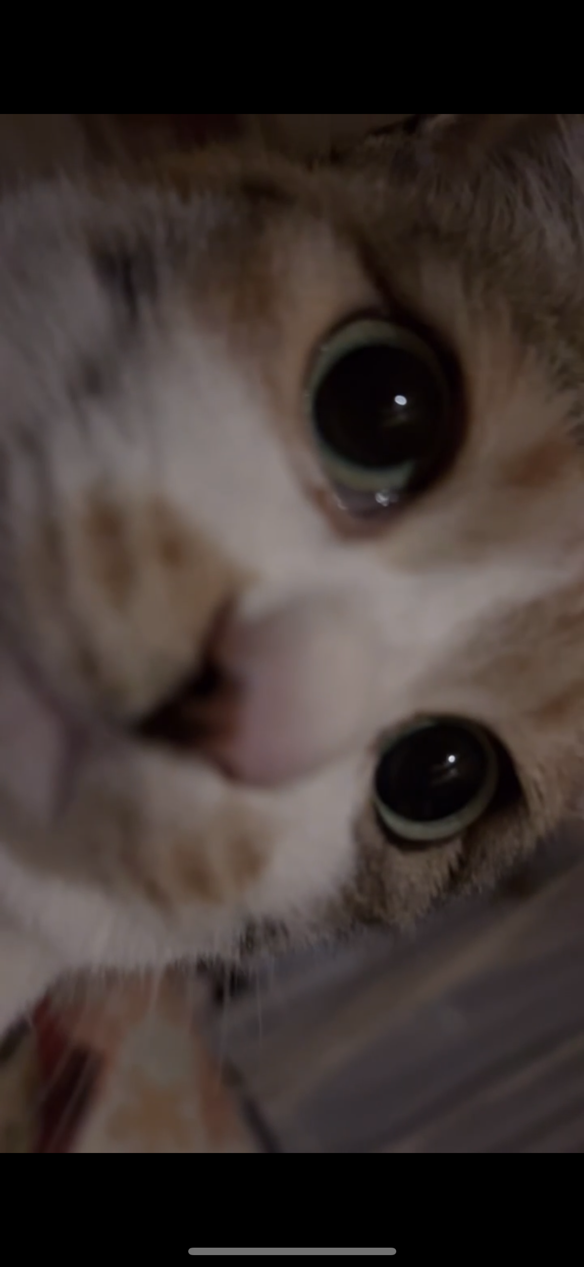 冬の愛車メンテナンス術とお得キャンペーン情報を紹介🚗