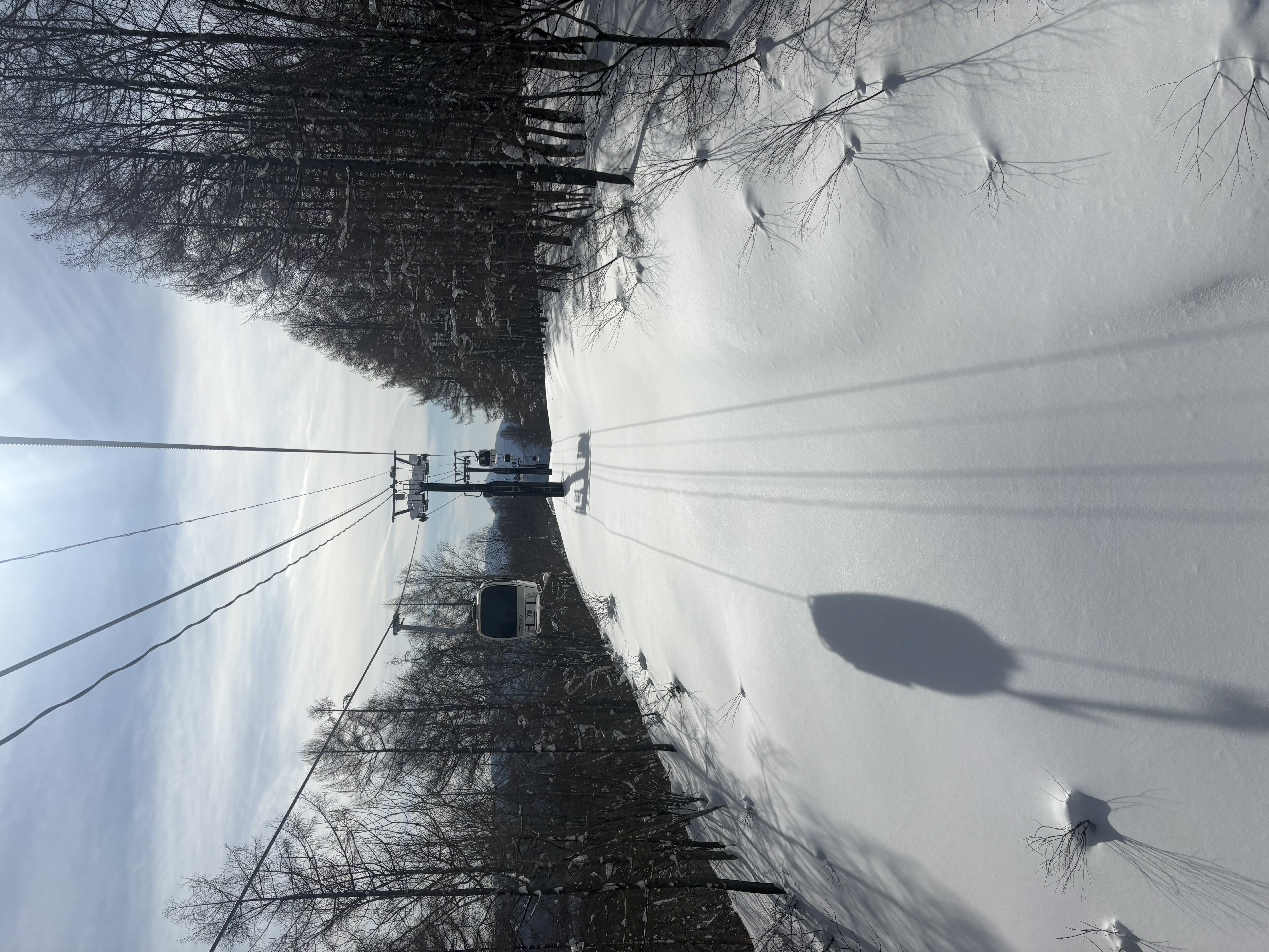 冬の東北でも安心車検と手洗い洗車キャンペーン情報🚗✨