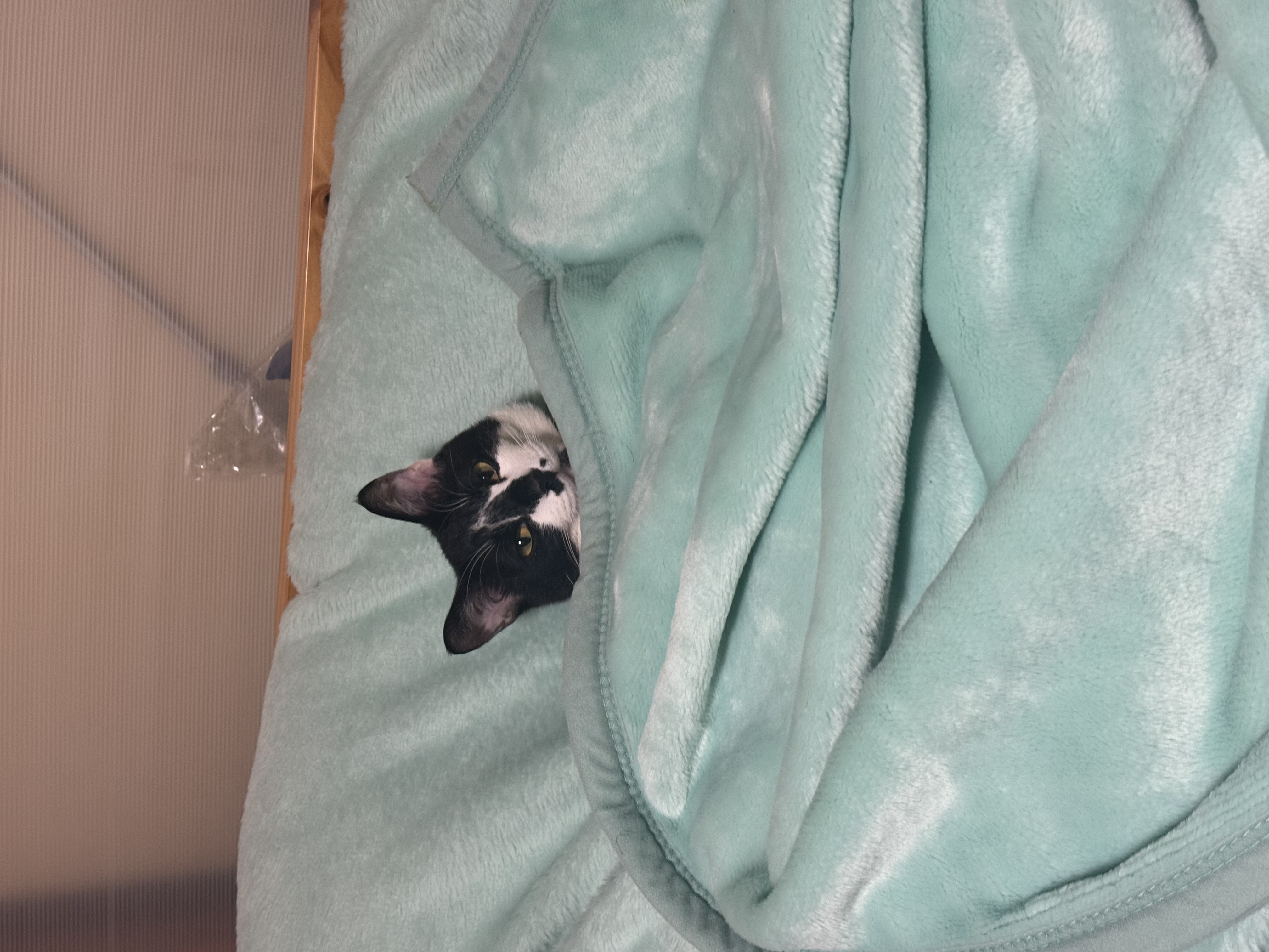 冬の愛車メンテ術！デポジットクリーナーでエンジン元気に🚗