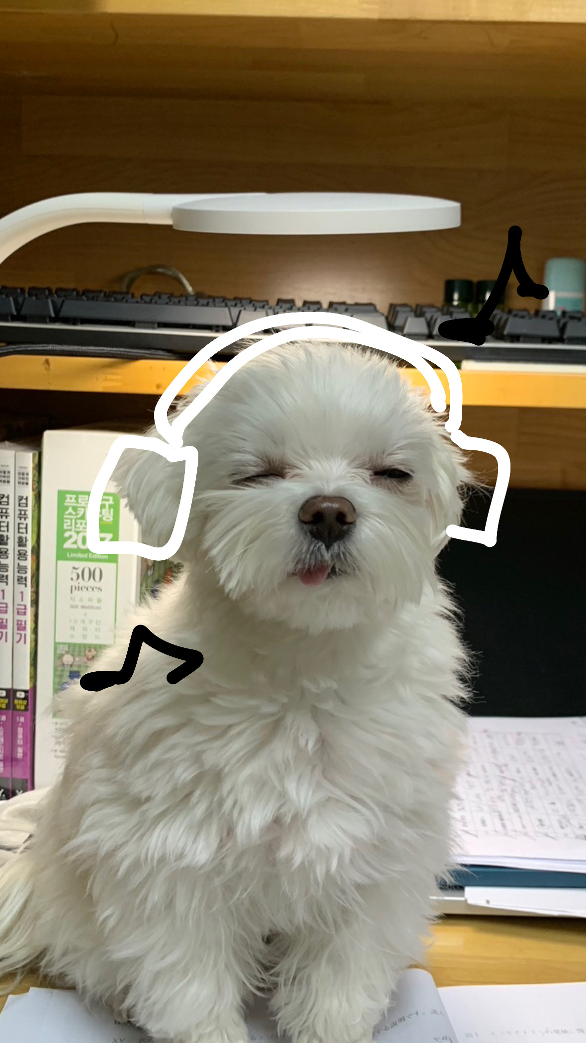 冬の雪道対策におすすめタイヤ交換と錆止めメンテナンス🚗