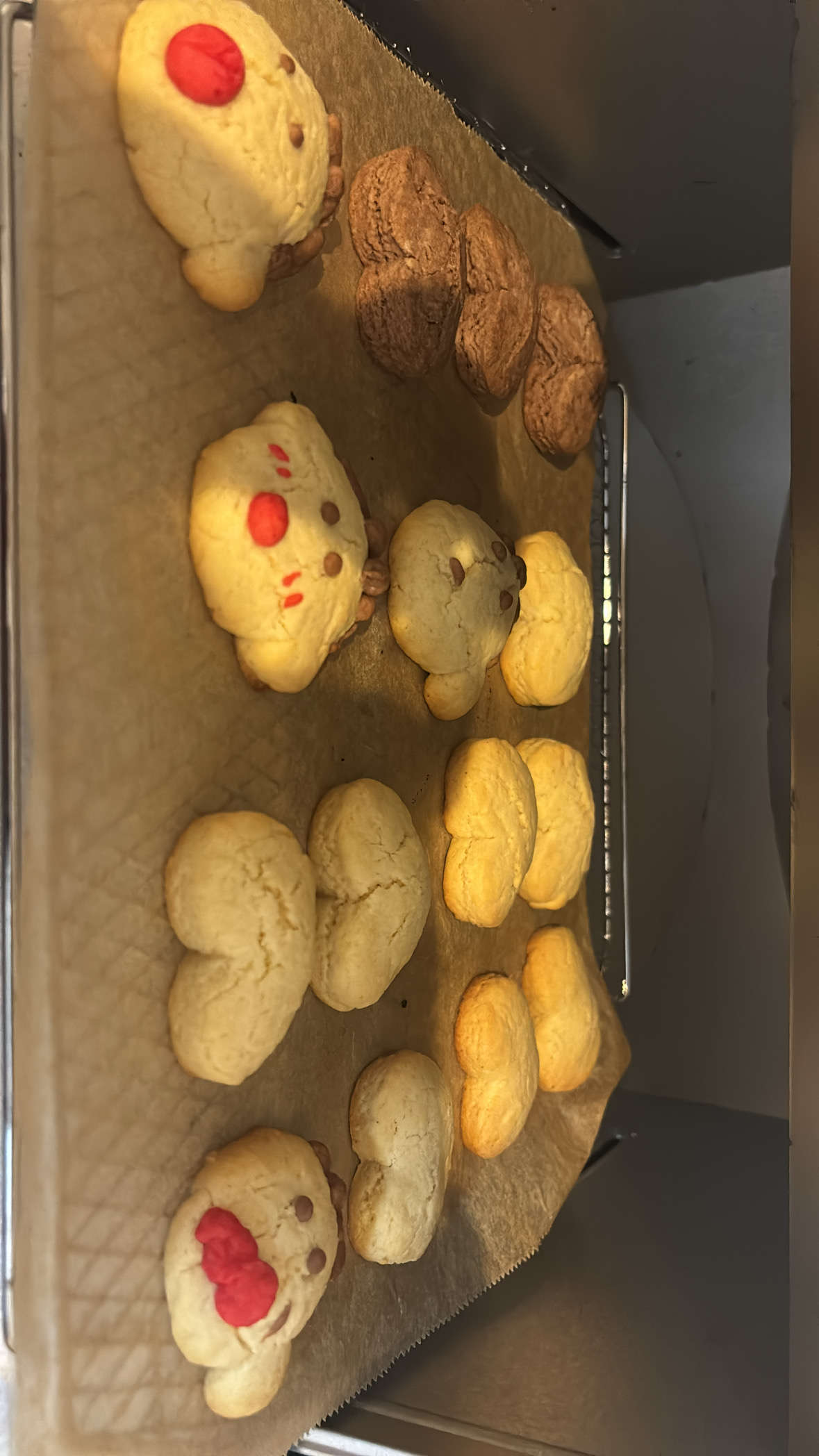 冬のカーケアはこれで安心！オイル・タイヤ交換と手洗い洗車のポイント🚗