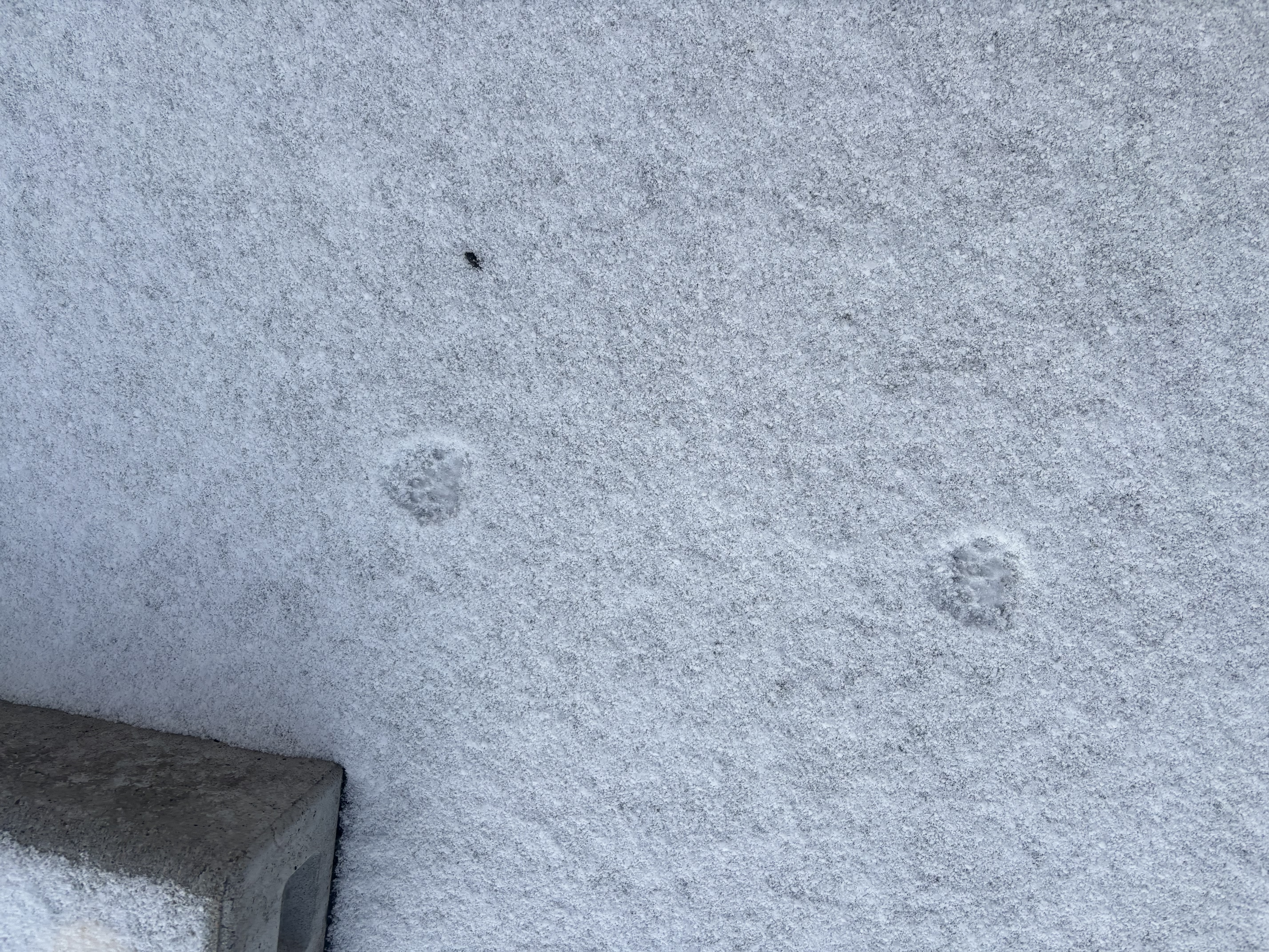 冬の車メンテナンスのコツとお得なキャンペーン情報をチェック🚗