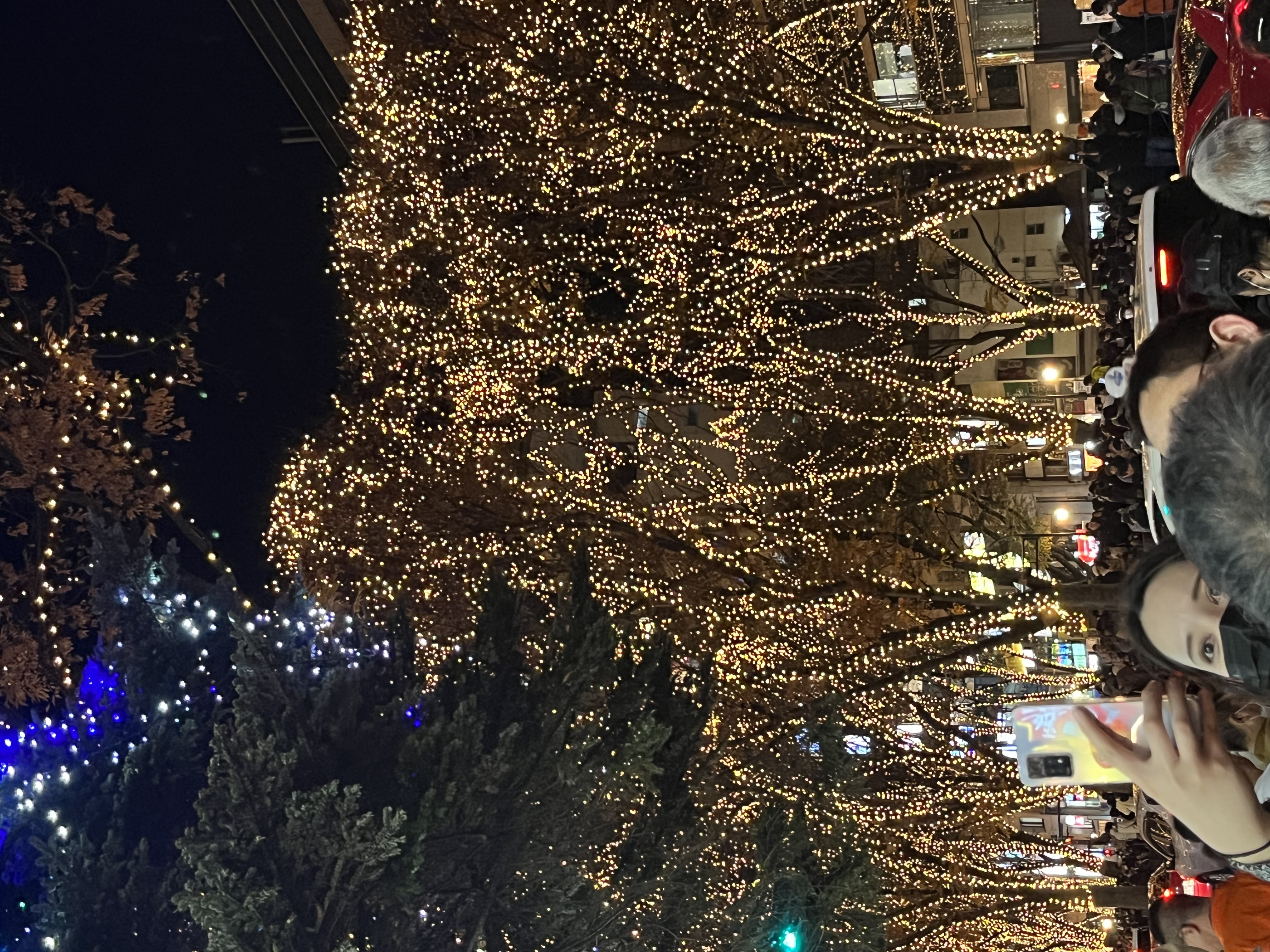 冬の安全運転に備えるタイヤ交換と手洗い洗車のすすめ🚗