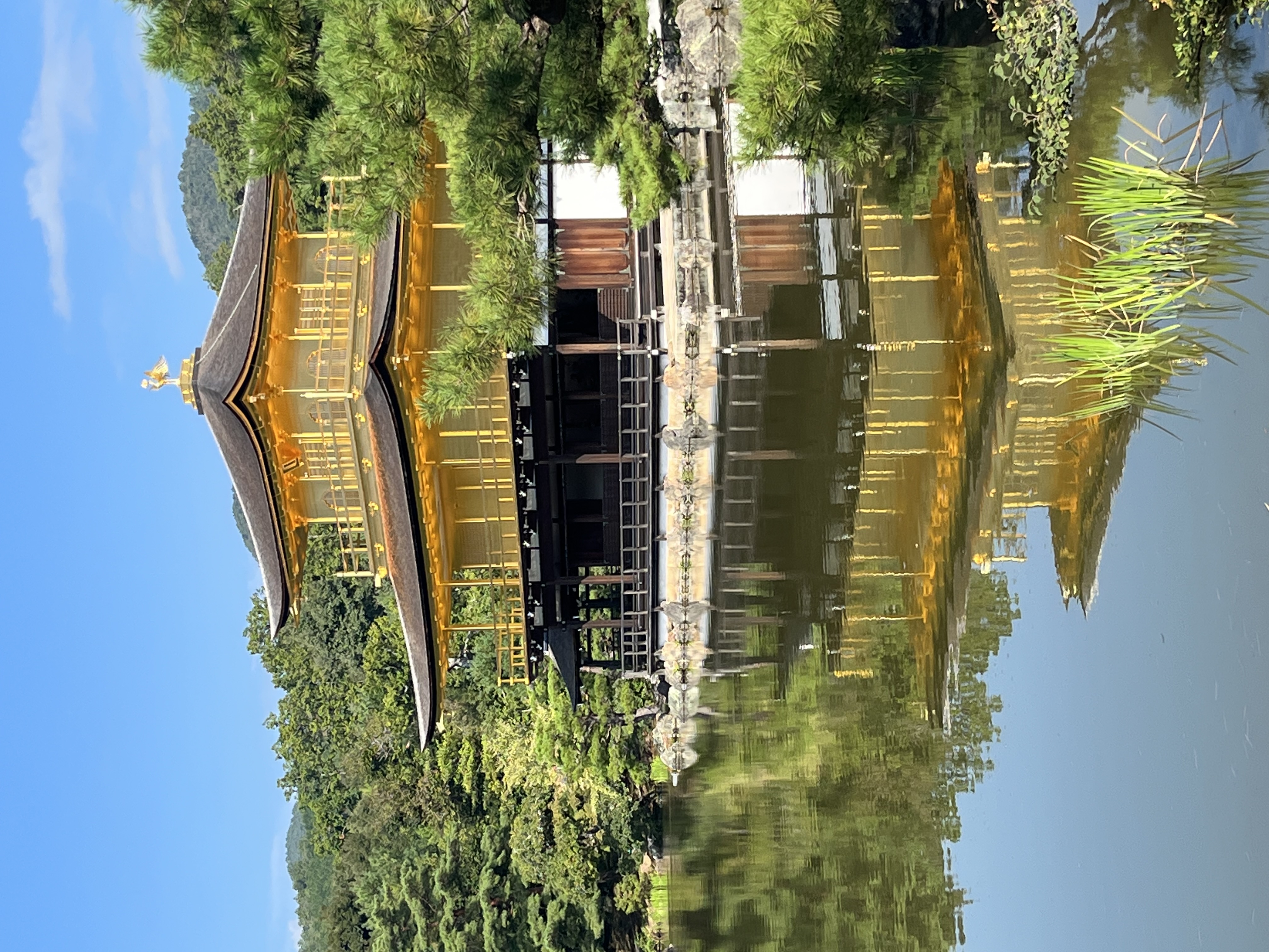 冬の車トラブル対策とエンジン洗浄のポイント解説