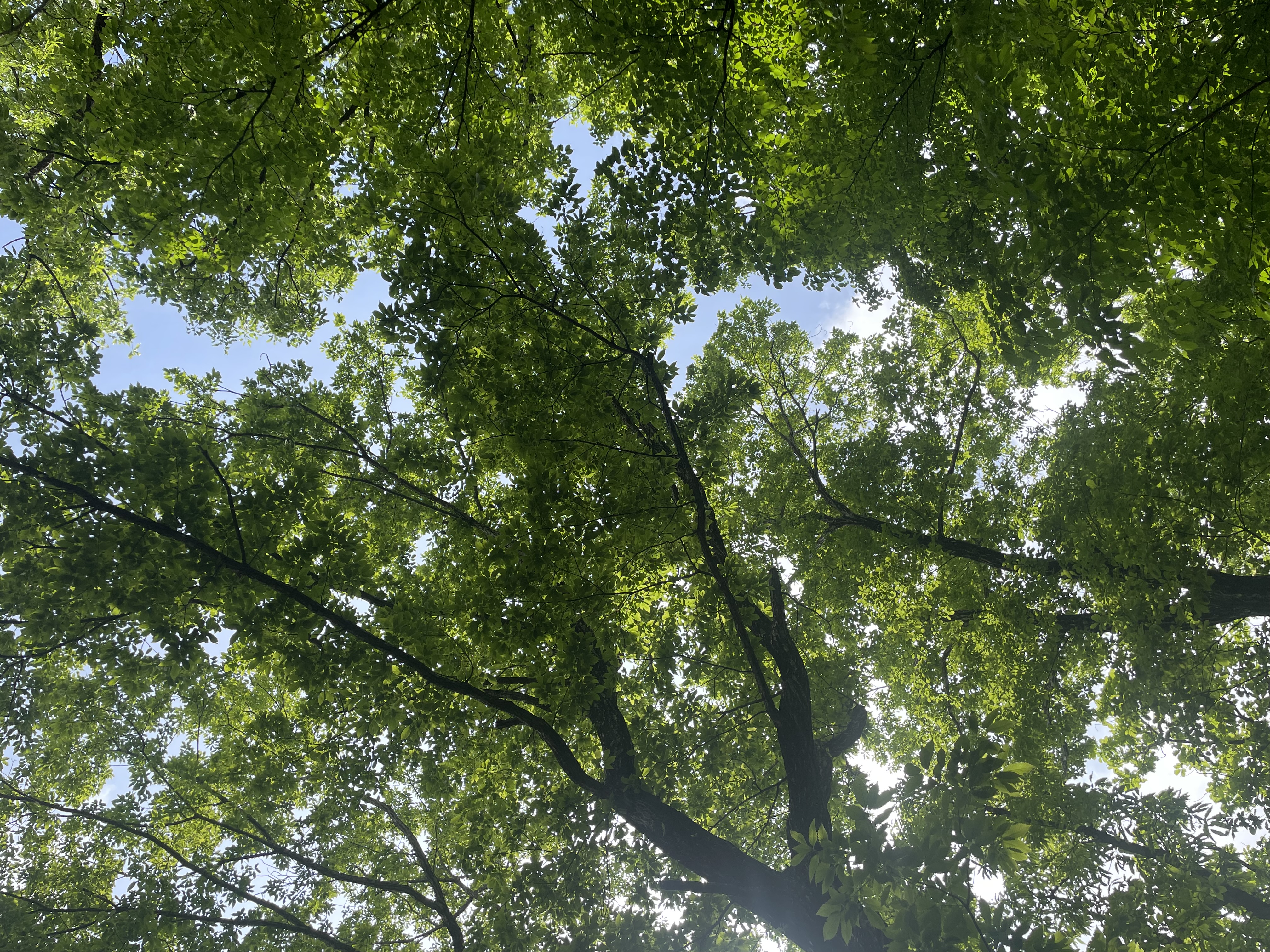 冬の車メンテナンスポイントと事前点検の大切さを解説🚗